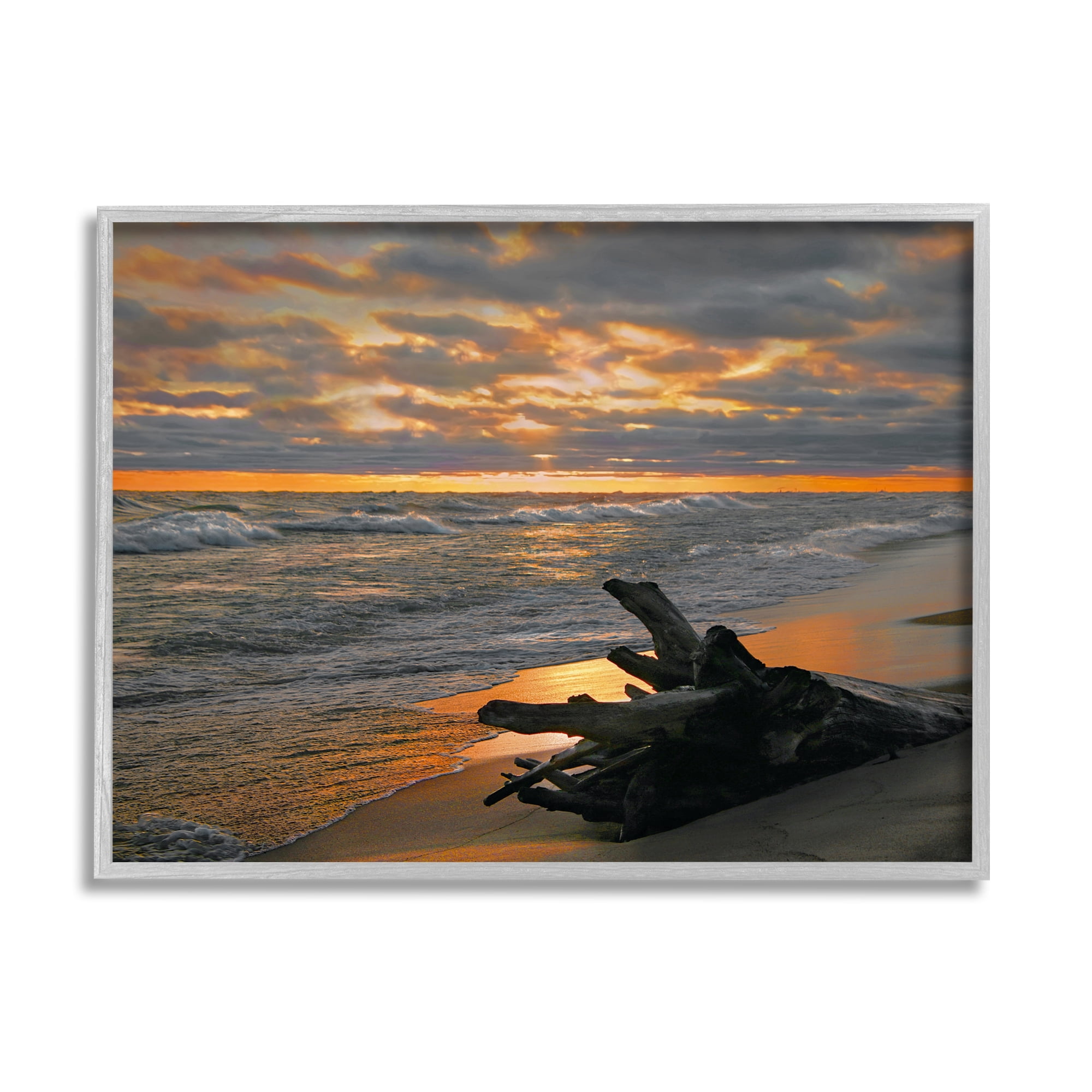 Stupell Industries Driftwood at Sunset Landscape Photography Gray Framed Art Print Wall Art, 20 x 16