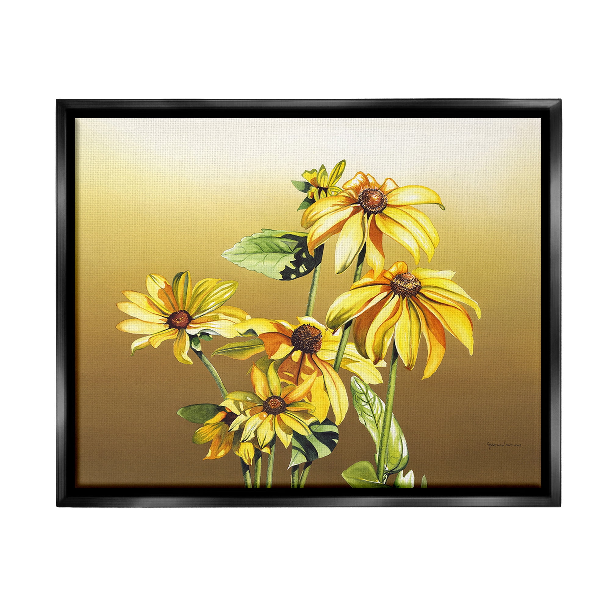 Stupell Industries Drooping Daisy Petals Botanical & Floral Painting Black Floater Framed Canvas Art Print Wall Art, 21 x 17