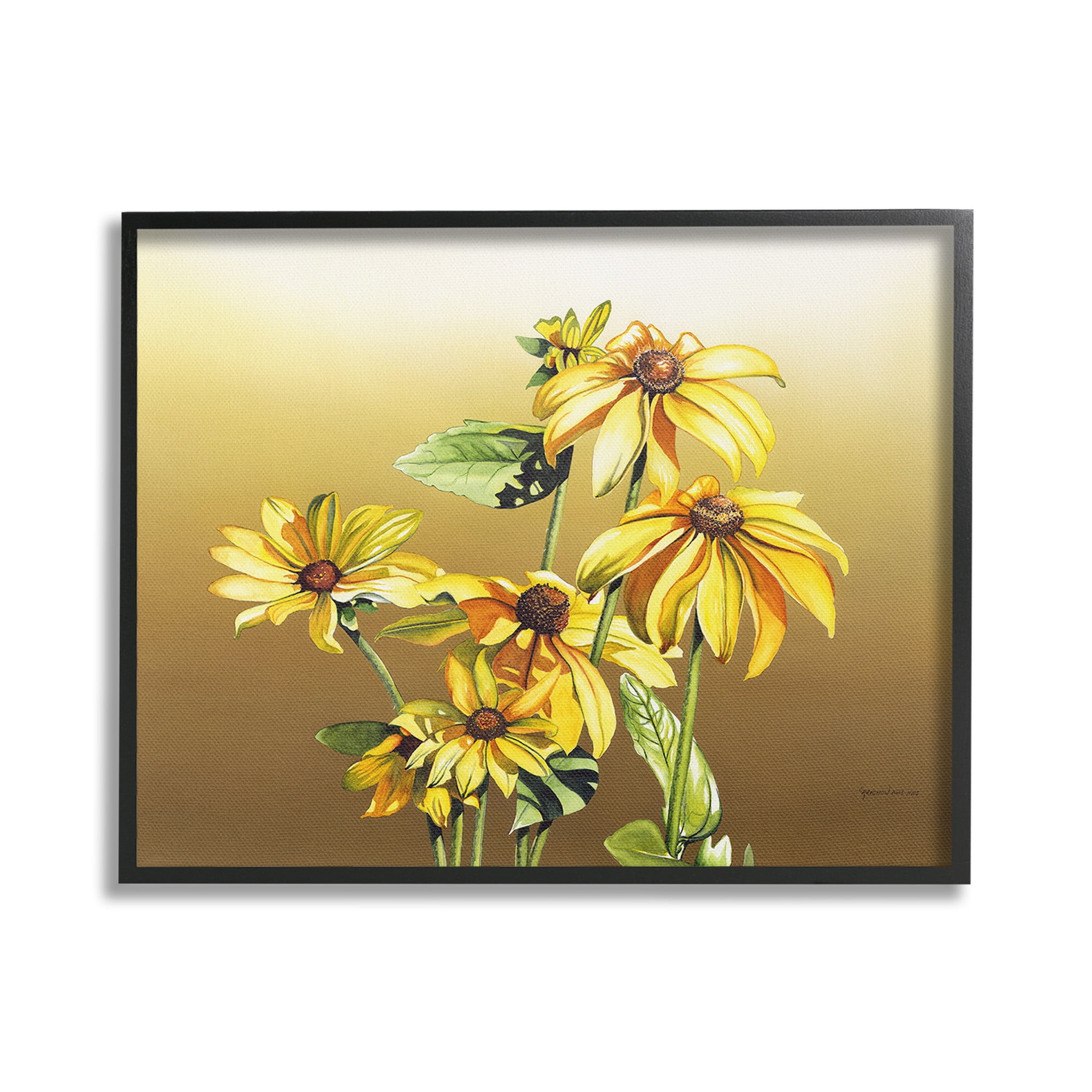 Stupell Industries Drooping Daisy Petals Botanical & Floral Painting Black Framed Art Print Wall Art, 20 x 16
