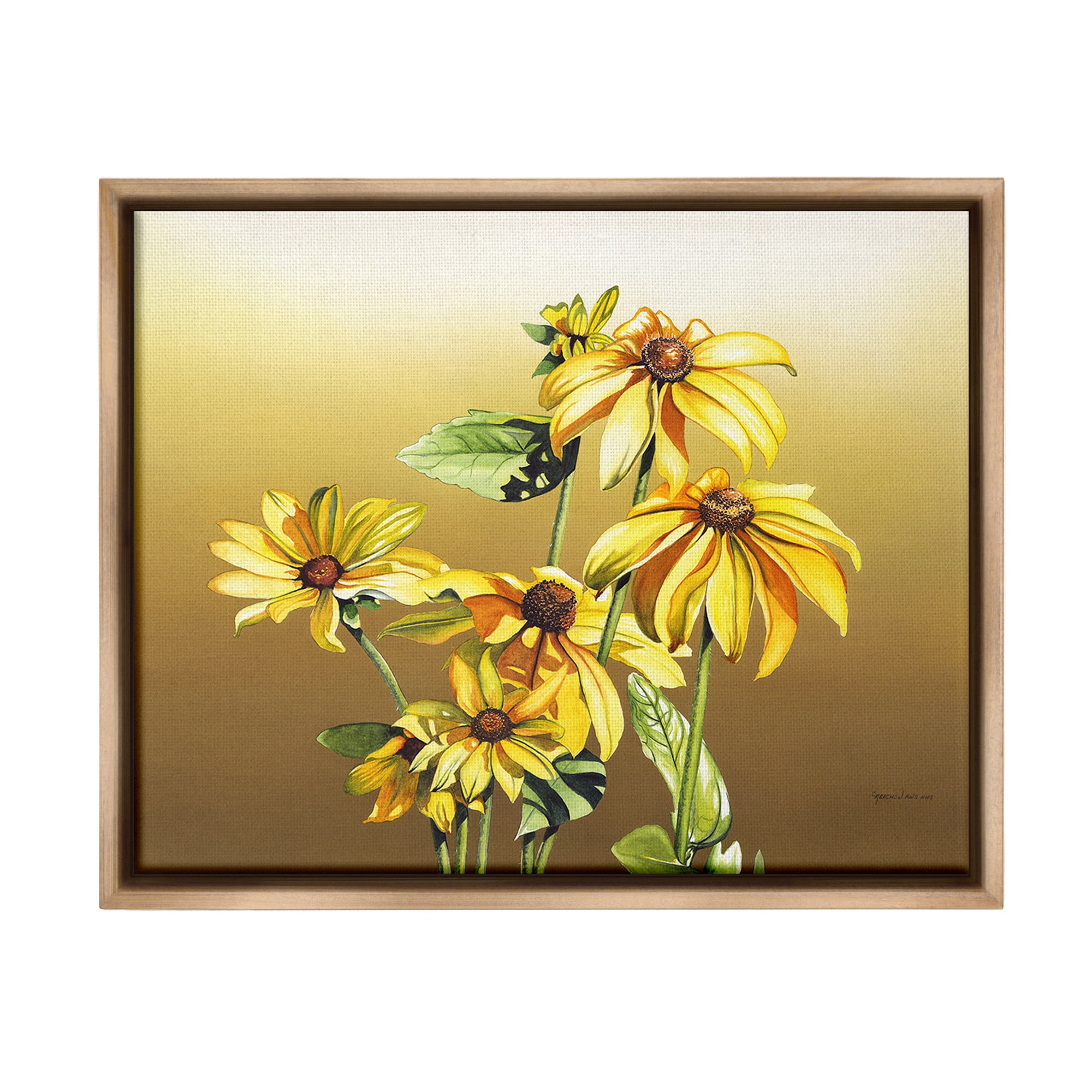 Stupell Industries Drooping Daisy Petals Botanical & Floral Painting Brown Floater Framed Canvas Art Print Wall Art, 21 x 17