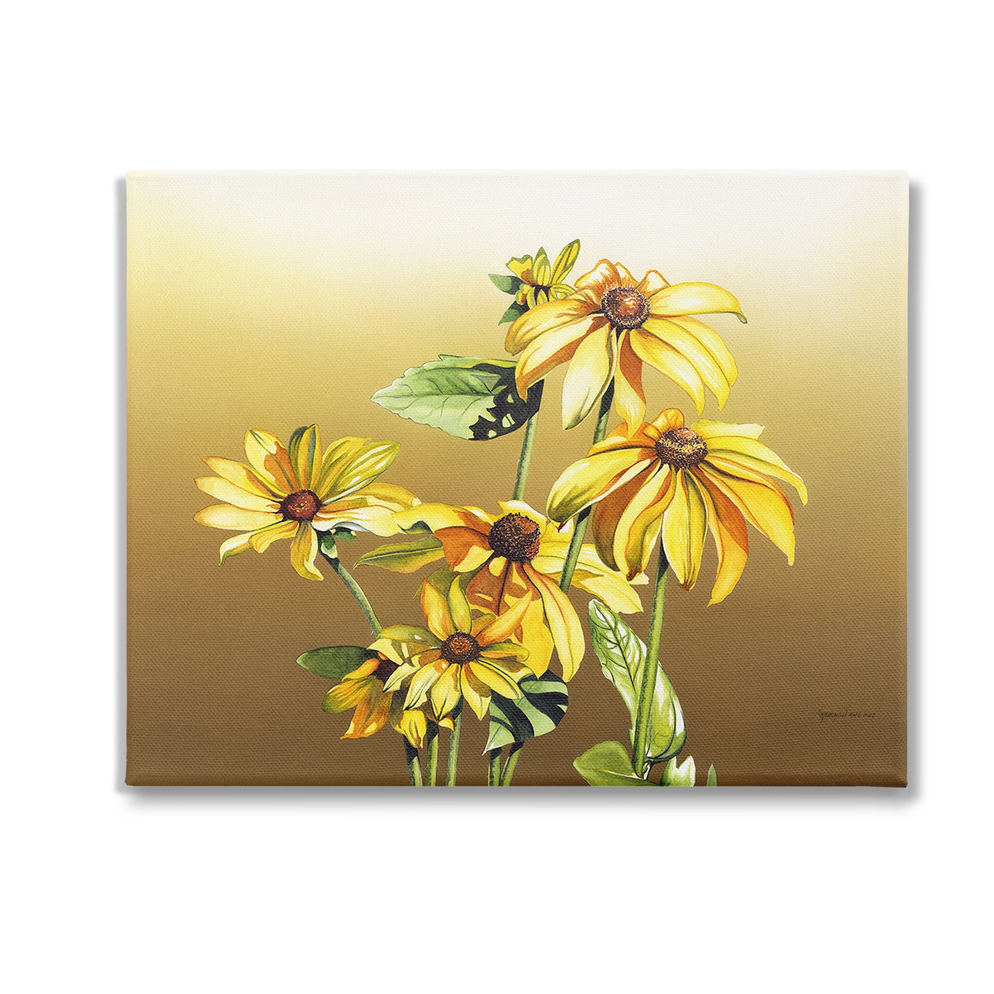 Stupell Industries Drooping Daisy Petals Botanical & Floral Painting Gallery Wrapped Canvas Art Print Wall Art, 30 x 24