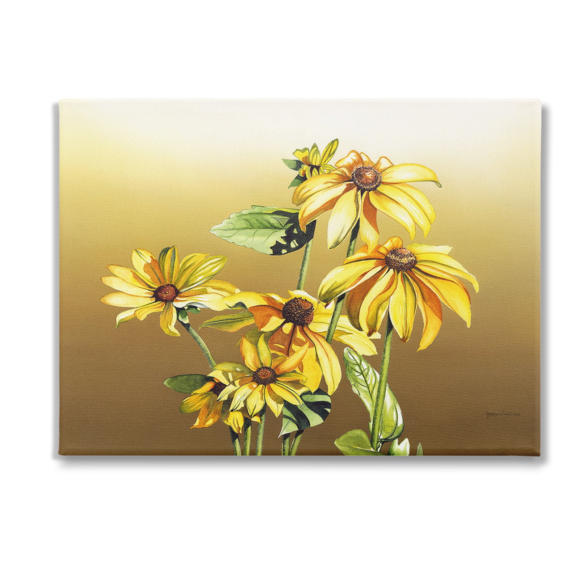 Stupell Industries Drooping Daisy Petals Botanical & Floral Painting Gallery Wrapped Canvas Art Print Wall Art, 40 x 30