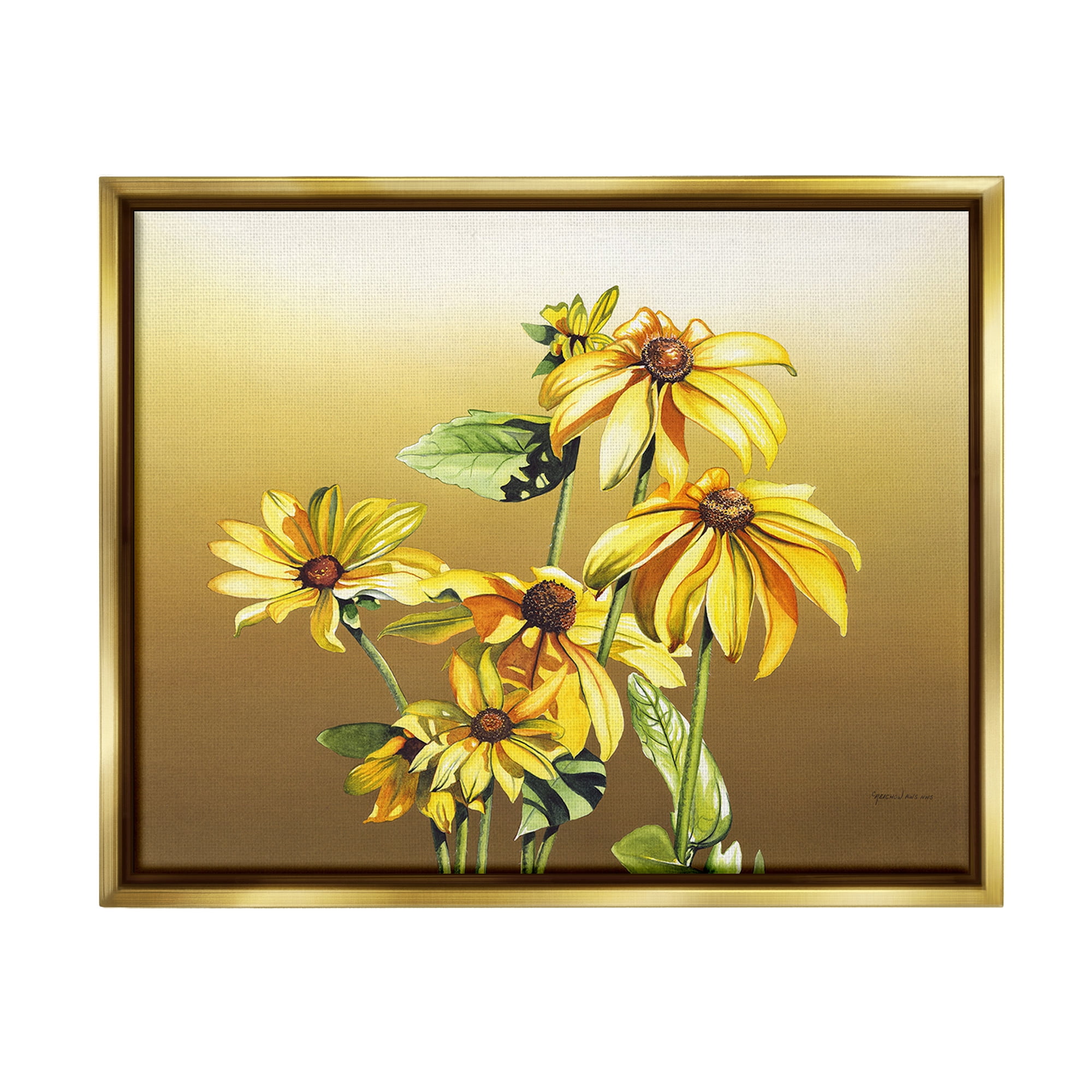 Stupell Industries Drooping Daisy Petals Botanical & Floral Painting Gold Floater Framed Canvas Art Print Wall Art, 31 x 25