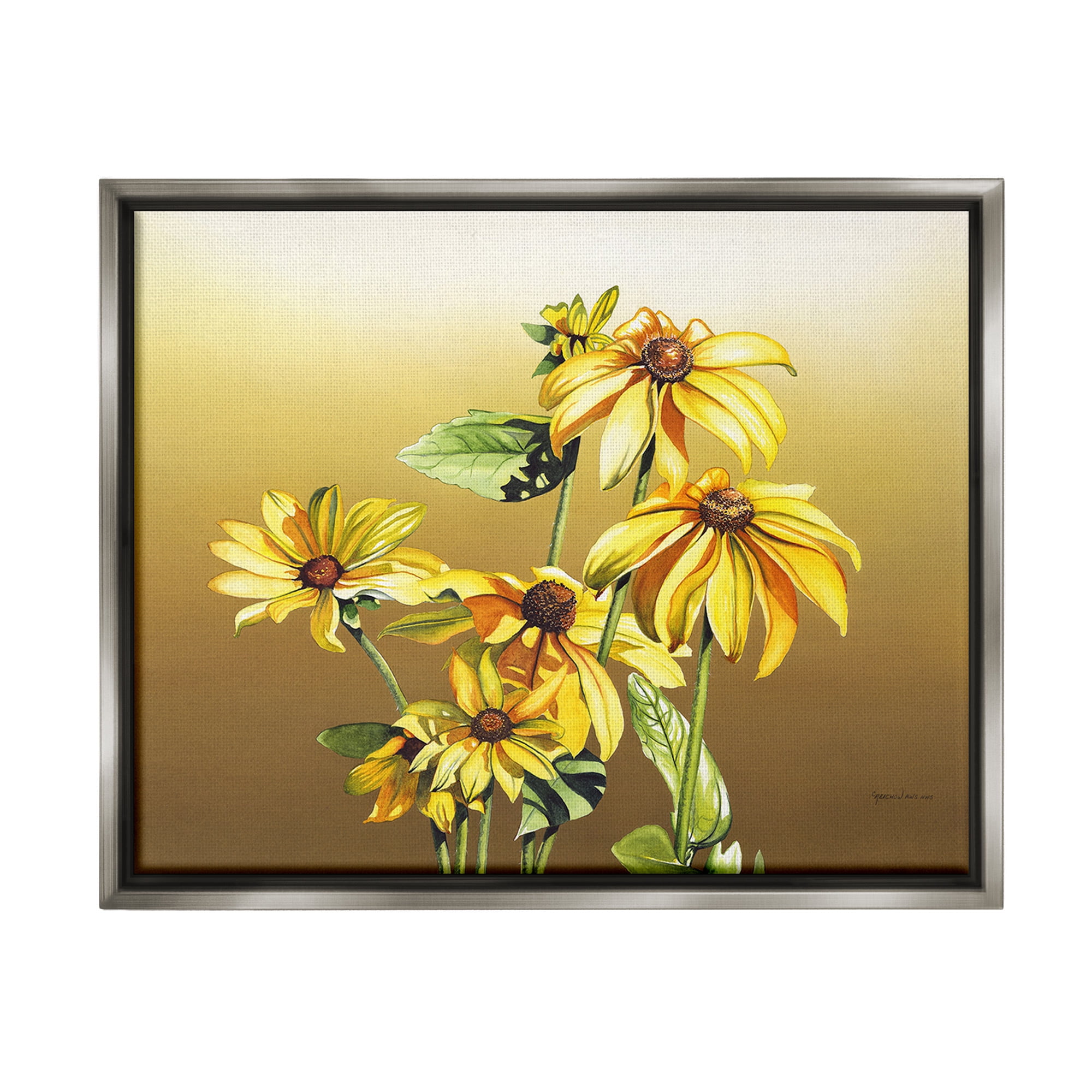 Stupell Industries Drooping Daisy Petals Botanical & Floral Painting Gray Floater Framed Canvas Art Print Wall Art, 21 x 17