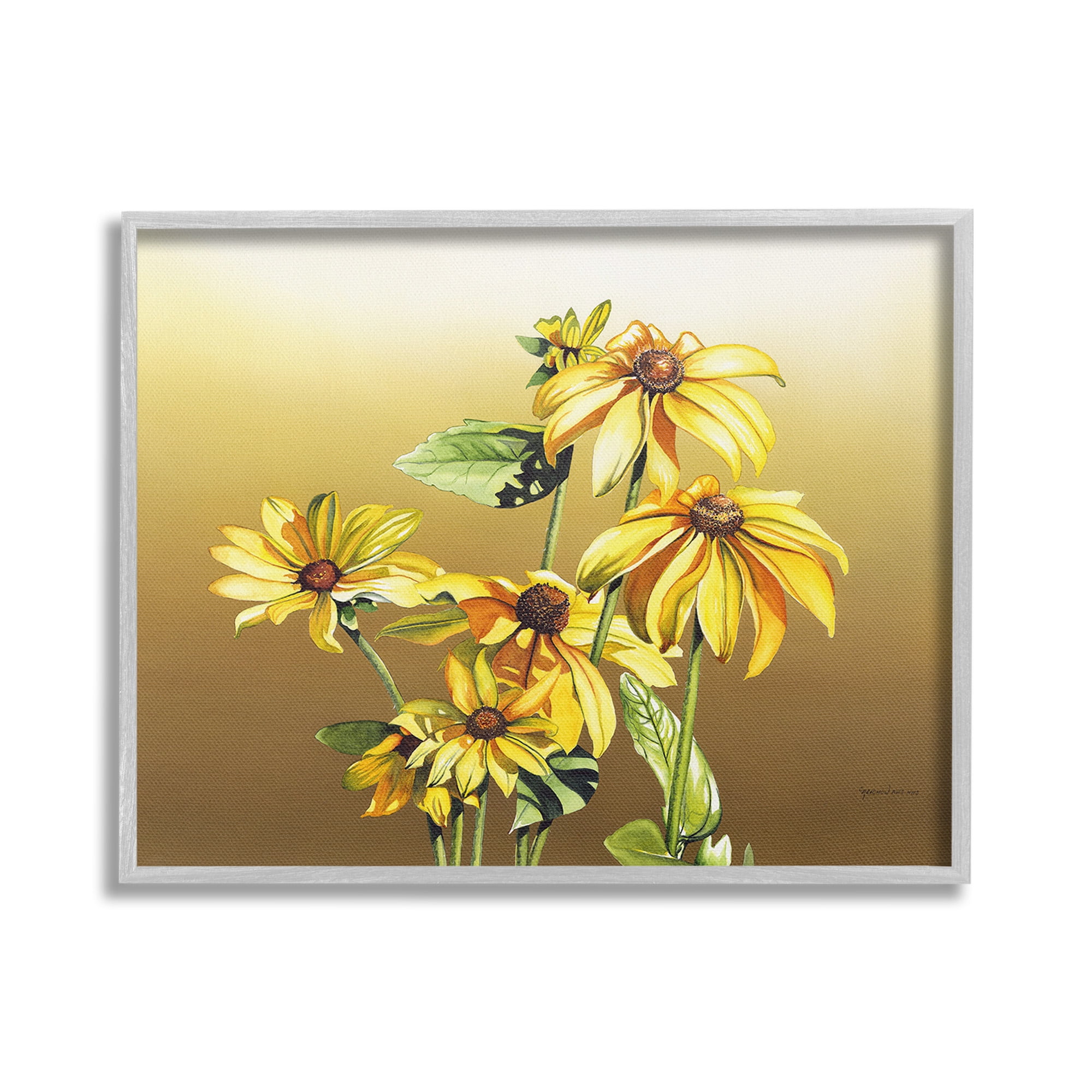 Stupell Industries Drooping Daisy Petals Botanical & Floral Painting Gray Framed Art Print Wall Art, 20 x 16