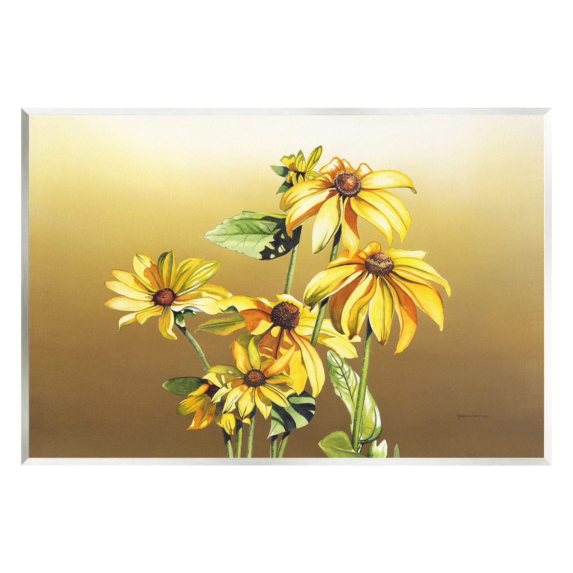 Stupell Industries Drooping Daisy Petals Botanical & Floral Painting Unframed Art Print Wall Art, 19 x 13