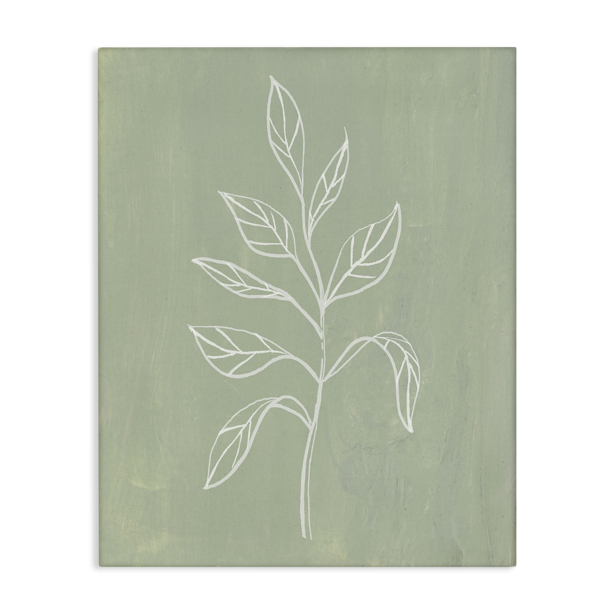 Stupell Industries Drooping Plant Leaves Plants & Flowers Painting Wrapped Canvas Art Print Wall Art, 24 x 30