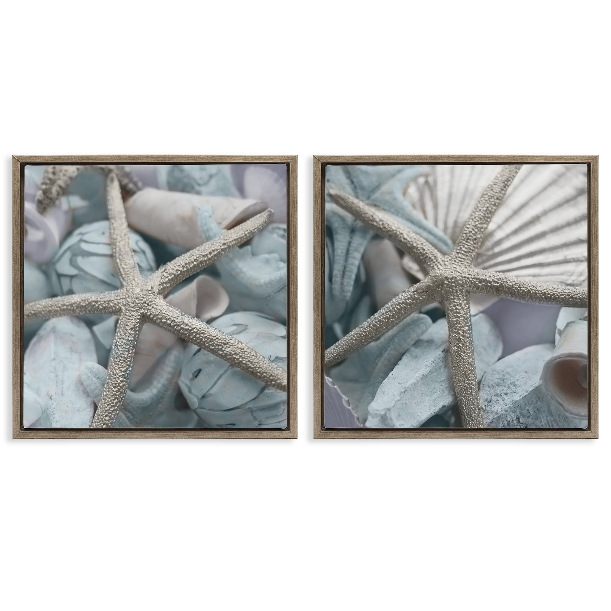 Stupell Industries Dry Distressed Starfish Nautical & Beach Photography Brown Floater Framed Canvas Art Print Wall Art, 18 x 18, Set of 2