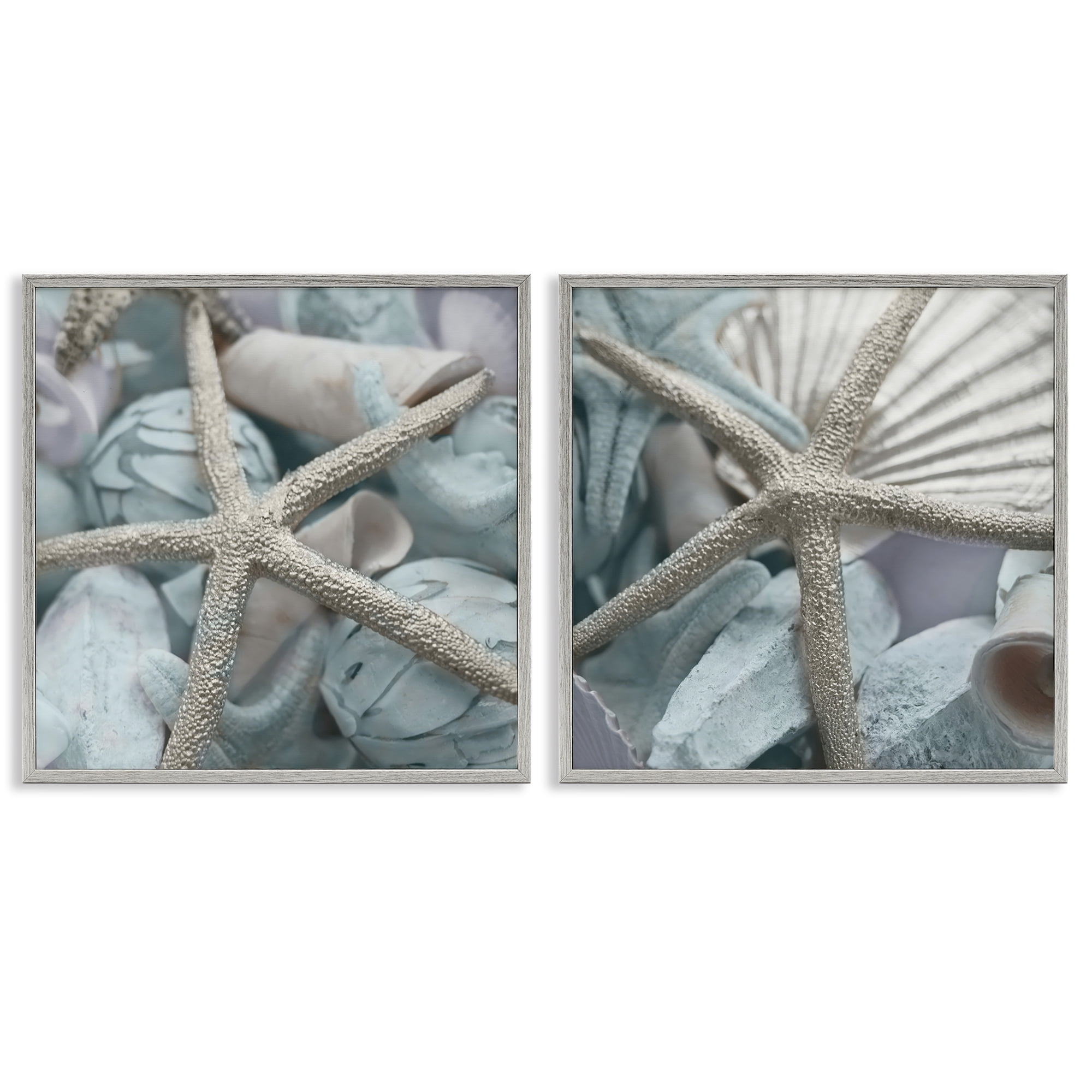 Stupell Industries Dry Distressed Starfish Nautical & Beach Photography Gray Framed Art Print Wall Art, 24 x 24, Set of 2