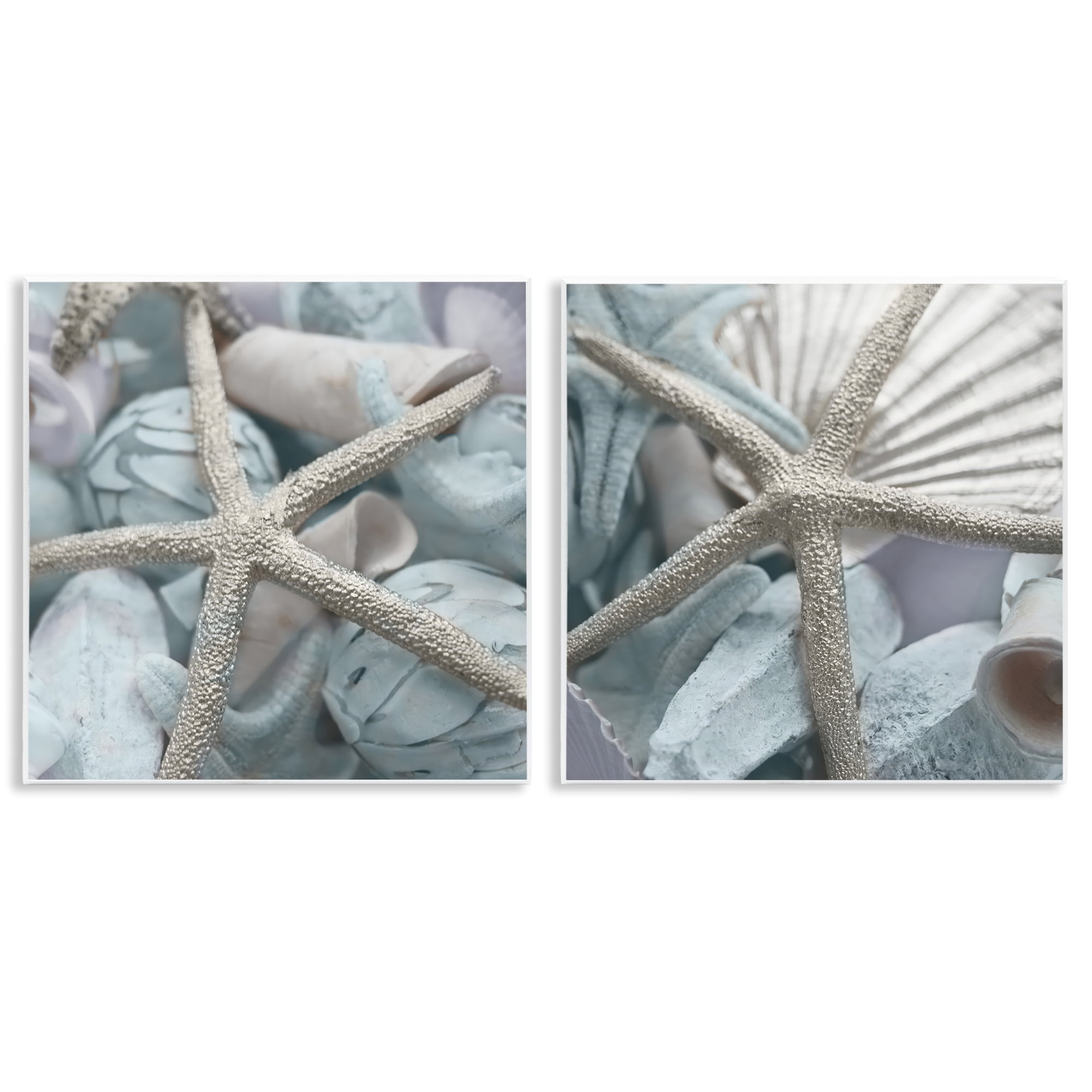 Stupell Industries Dry Distressed Starfish Nautical & Beach Photography ...