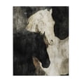 thumbnail image 1 of Stupell Industries Modern Dual Spirit Horses Canvas Art, 16 x 20, by Svetlana Aleynikova, 1 of 8
