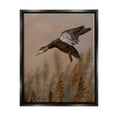 thumbnail image 1 of Stupell Industries Duck Flying Photography Animals & Insects Photography Black Floater Framed Art Print Wall Art, 25 x 31, 1 of 10