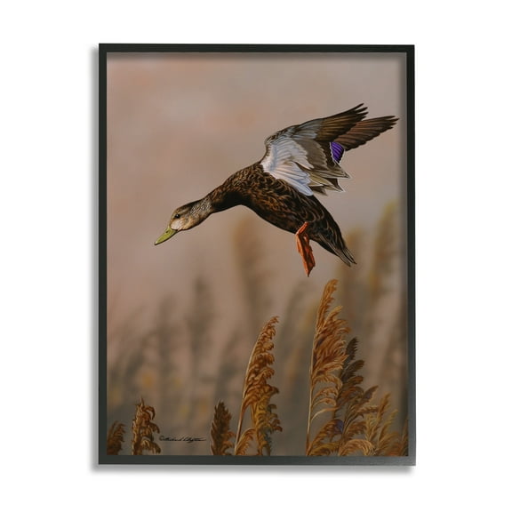 Stupell Industries Duck Flying Photography Animals & Insects Photography Black Framed Art Print Wall Art, 11 x 14