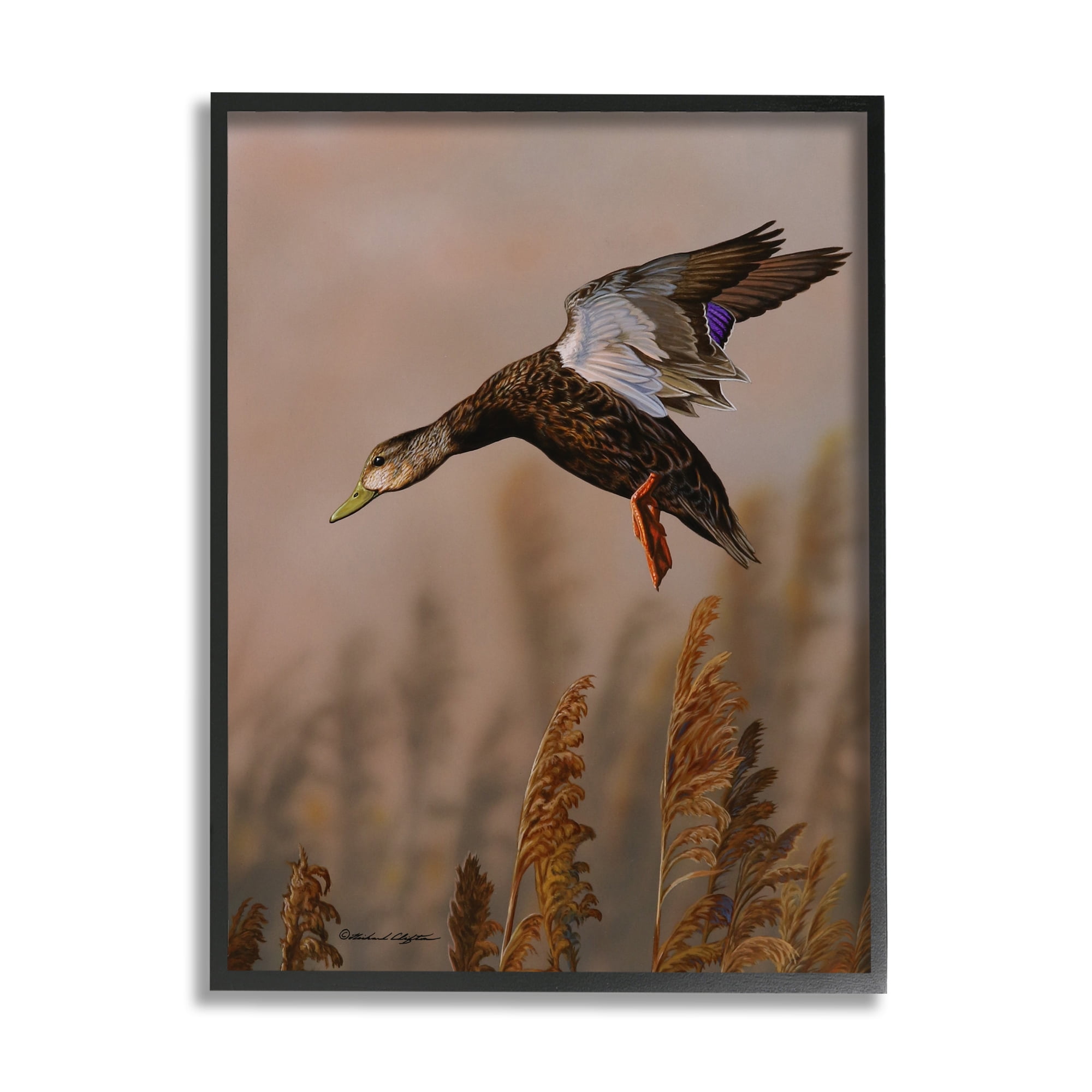 Stupell Industries Duck Flying Photography Animals & Insects Photography Black Framed Art Print Wall Art, 24 x 30