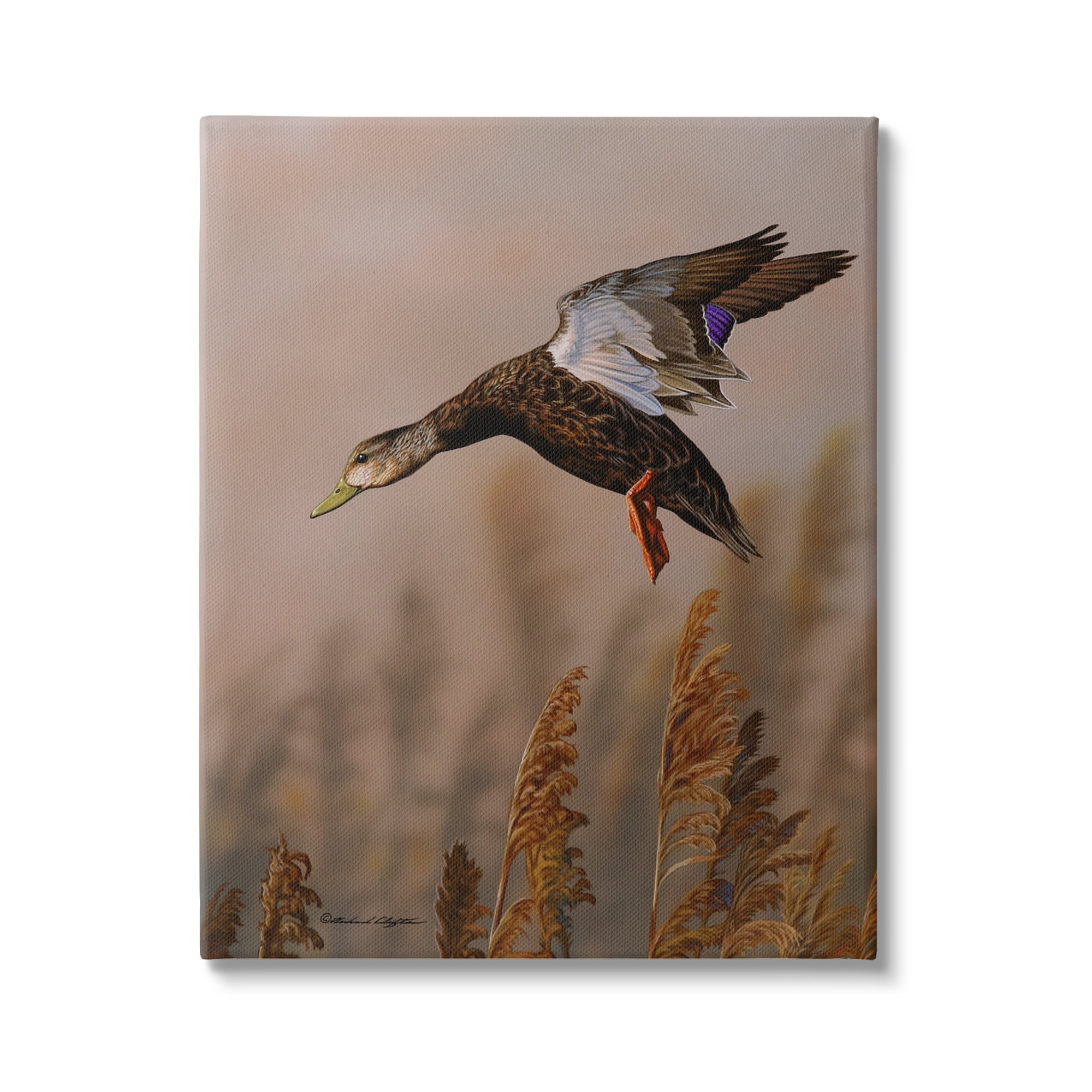 Stupell Industries Duck Flying Photography Animals & Insects Photography Gallery Wrapped Canvas Print Wall Art, 24 x 30