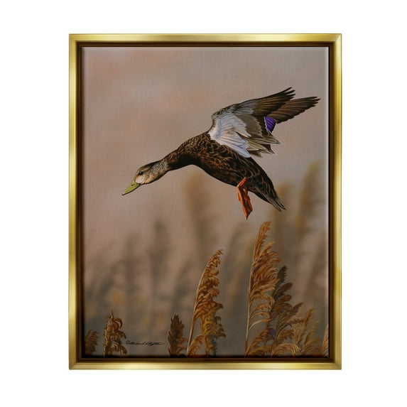 Stupell Industries Duck Flying Photography Animals & Insects Photography Gold Floater Framed Art Print Wall Art, 25 x 31