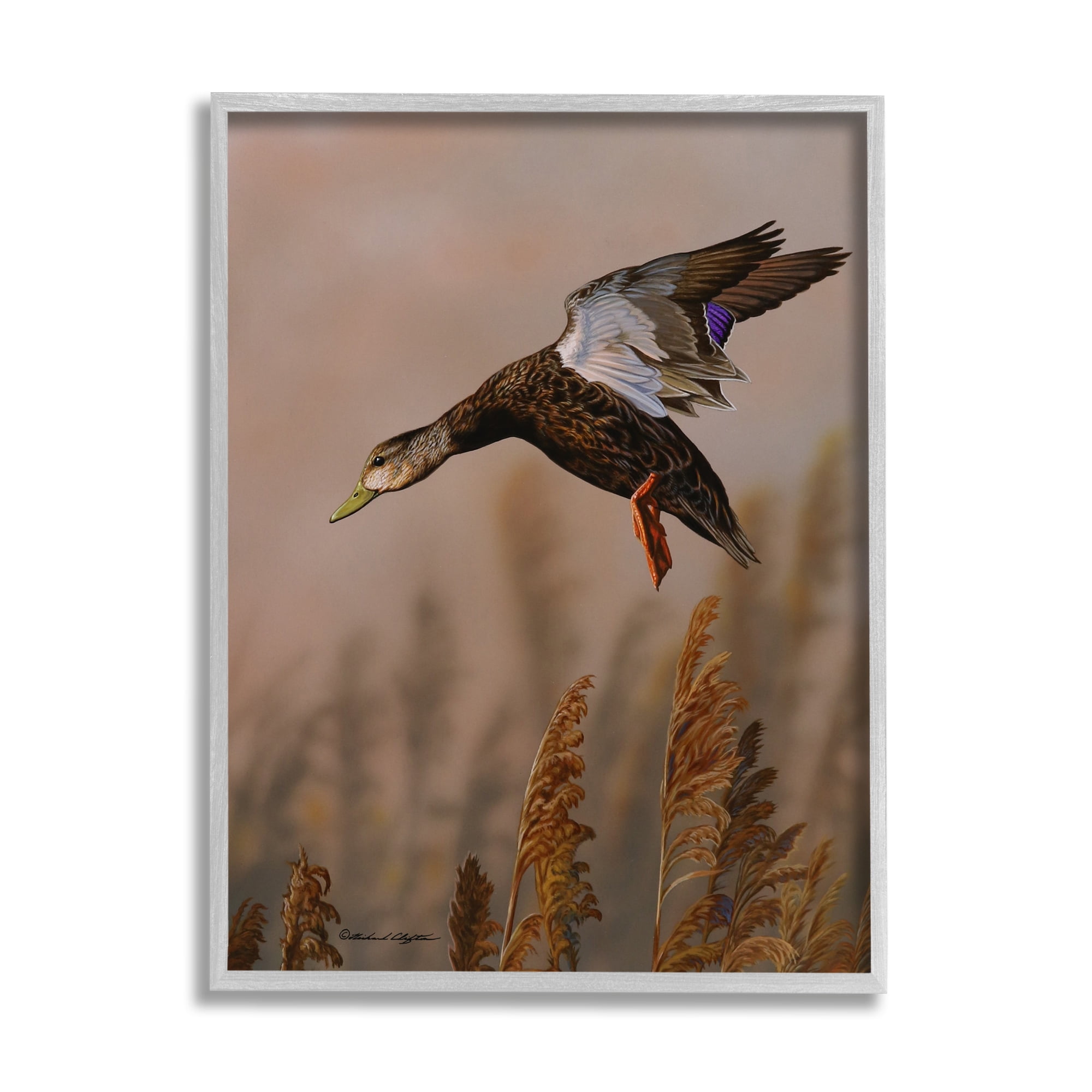 Stupell Industries Duck Flying Photography Animals & Insects Photography Gray Framed Art Print Wall Art, 11 x 14
