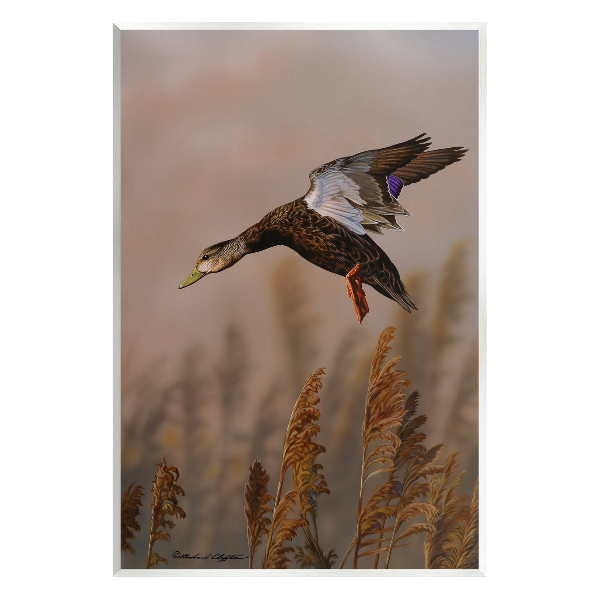 Stupell Industries Duck Flying Photography Animals & Insects Photography Unframed Art Print Wall Art, 10 x 15