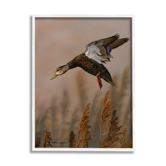Stupell Industries Duck Flying Photography Animals & Insects Photography White Framed Art Print Wall Art, 16 x 20