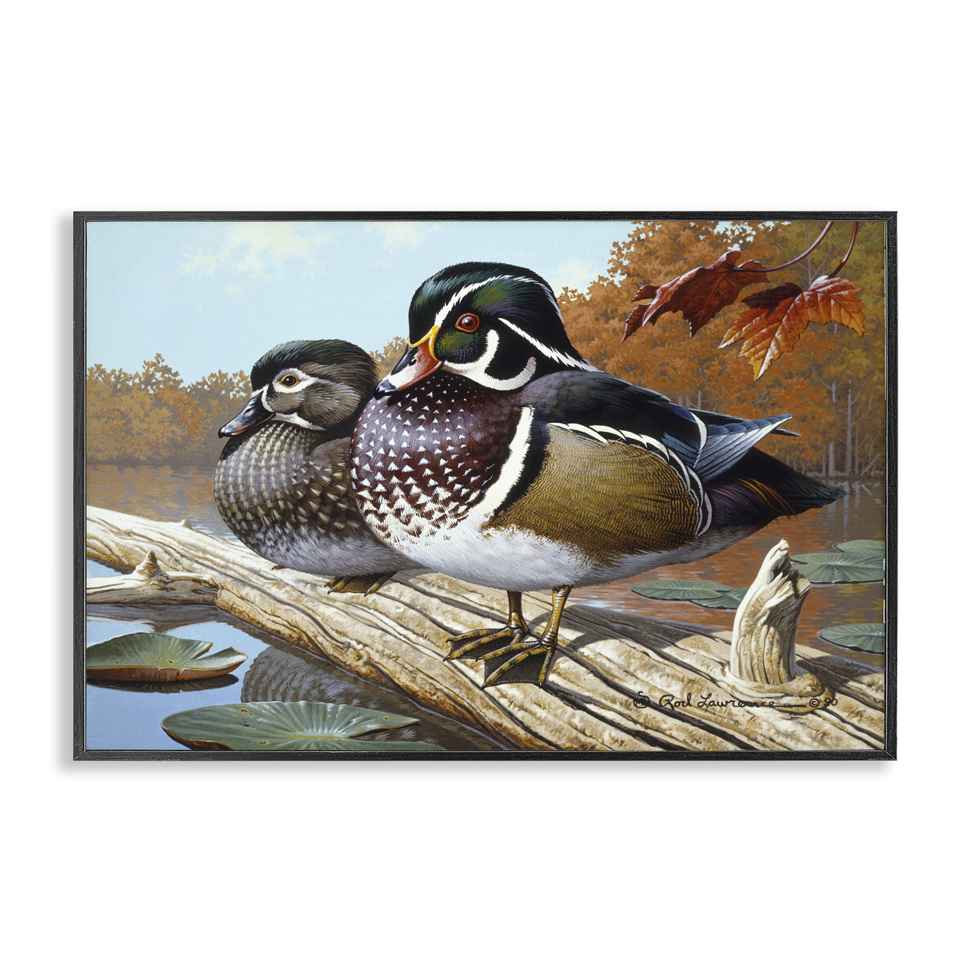 Stupell Industries Duck Pair on Driftwood Animals Painting Black Framed Art Print Wall Art, 24 x 16
