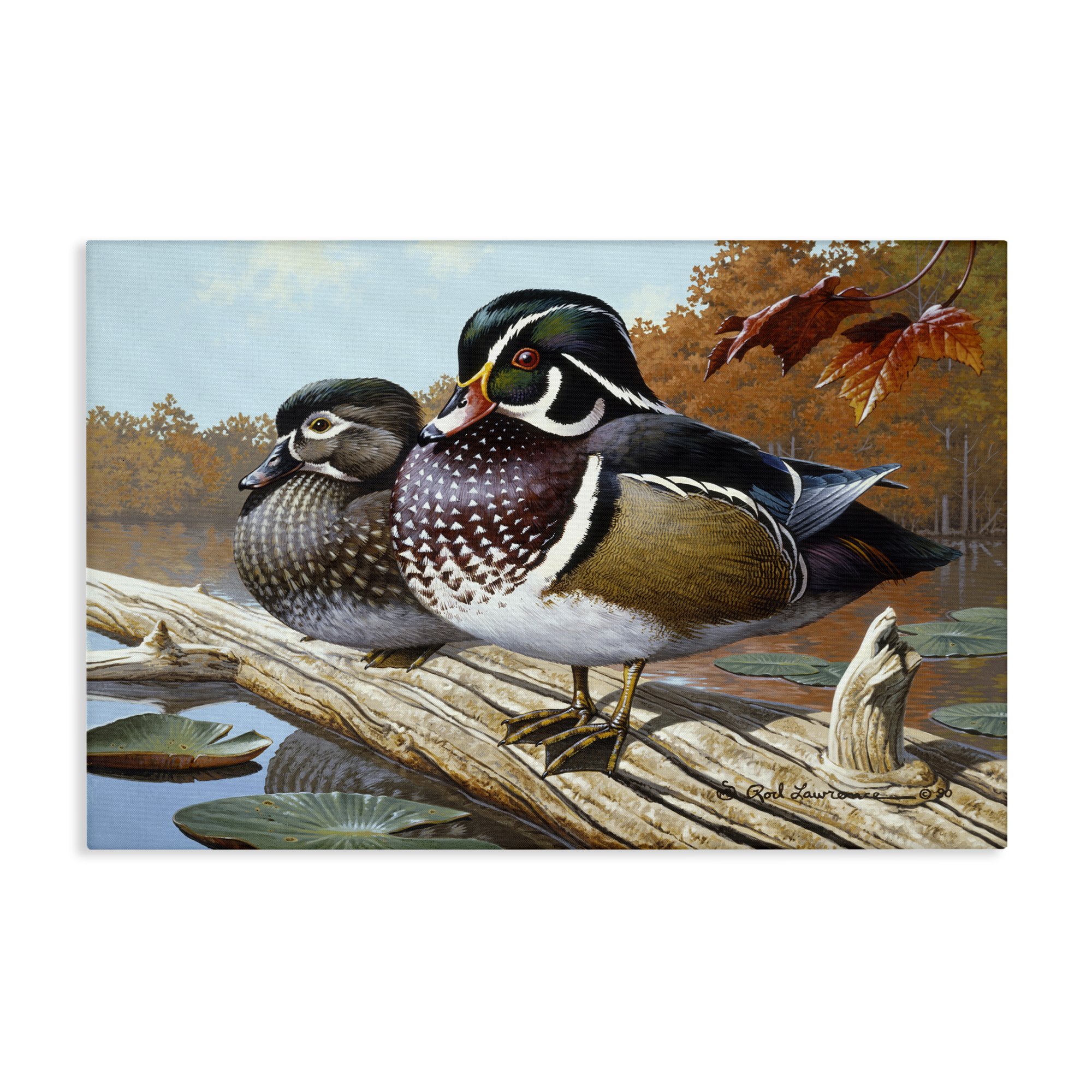 Stupell Industries Duck Pair on Driftwood Animals Painting Wrapped Canvas Art Print Wall Art, 24 x 16