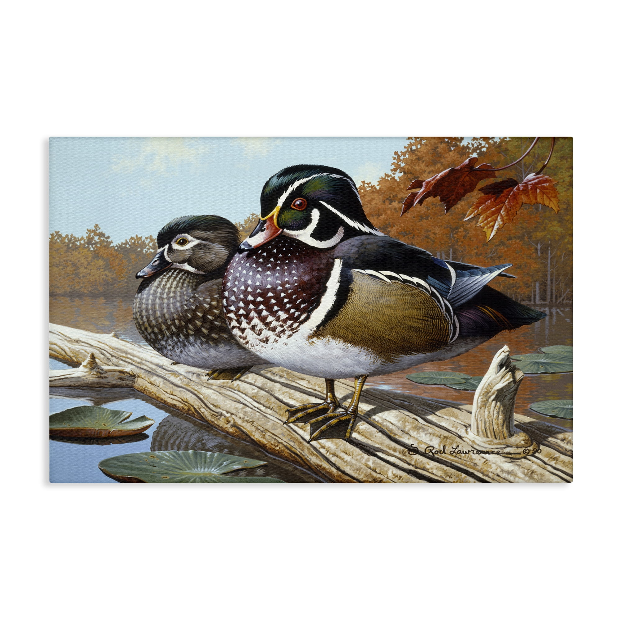 Stupell Industries Duck Pair on Driftwood Animals Painting Wrapped Canvas Art Print Wall Art, 30 x 20