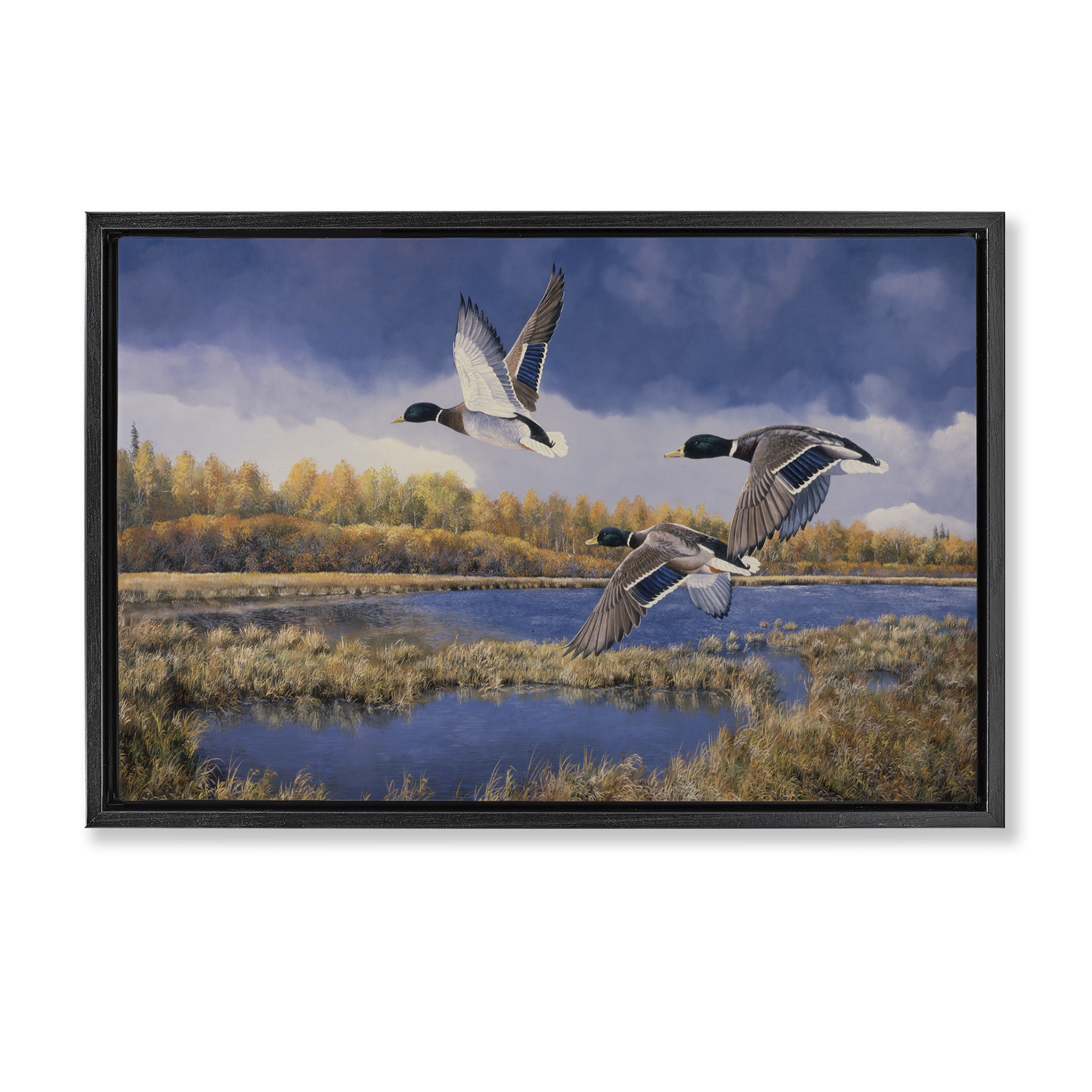 Stupell Industries Ducks Heading South Landscape & Nature Painting Black Floater Framed Canvas Art Print Wall Art, 31 x 21