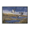 thumbnail image 1 of Stupell Industries Ducks Heading South Landscape & Nature Painting Black Framed Art Print Wall Art, 18 x 12, 1 of 2