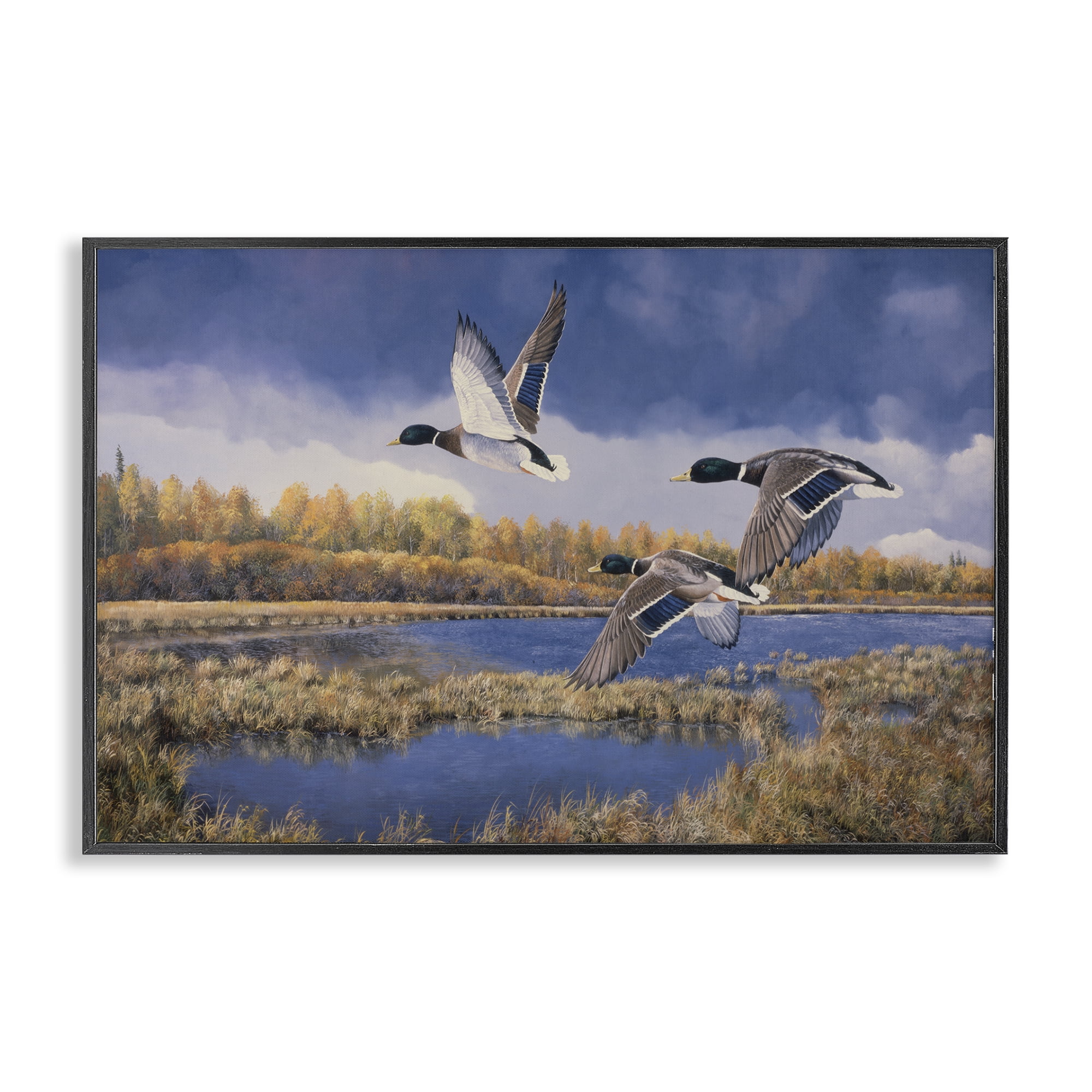 Stupell Industries Ducks Heading South Landscape & Nature Painting Black Framed Art Print Wall Art, 30 x 20