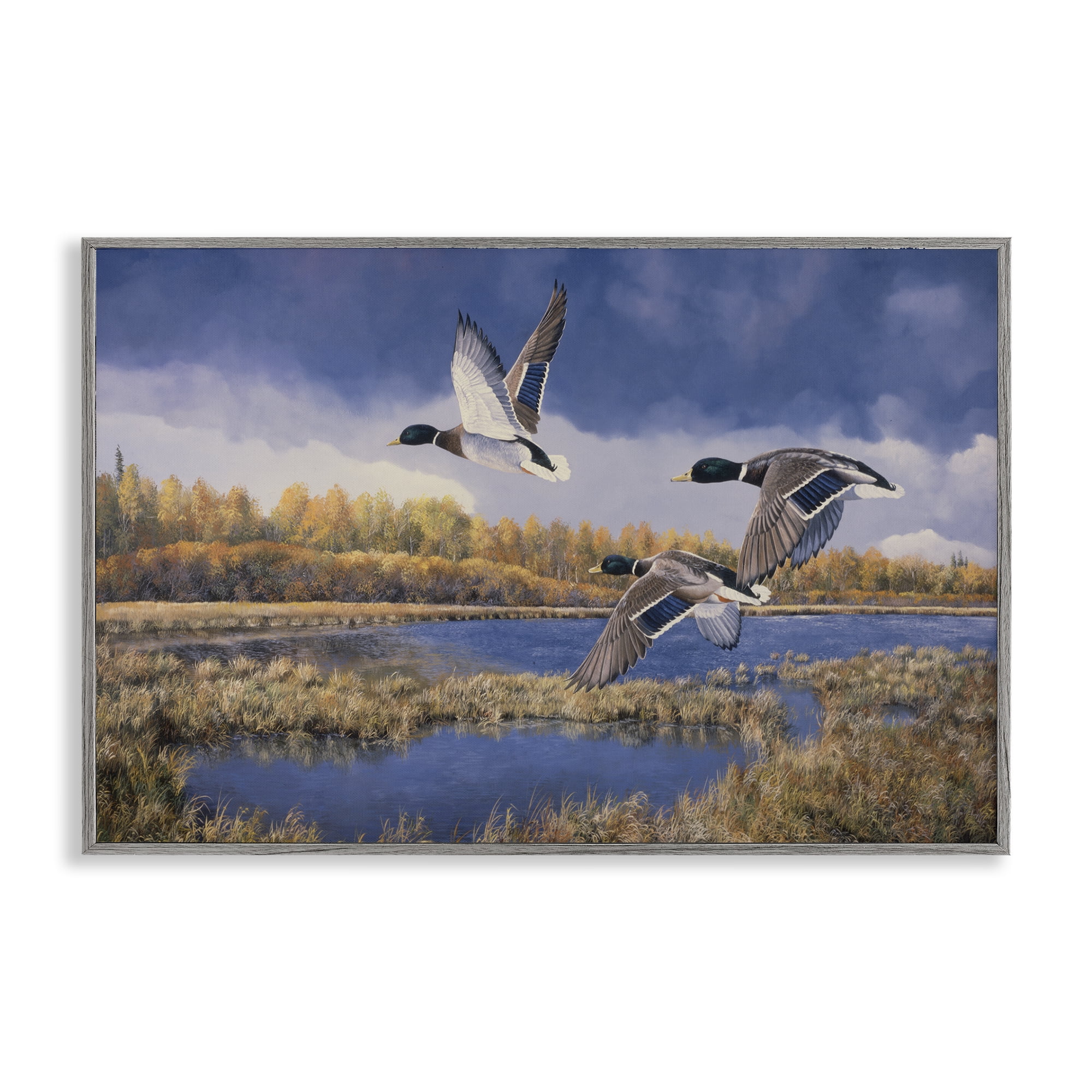 Stupell Industries Ducks Heading South Landscape & Nature Painting Gray Framed Art Print Wall Art, 24 x 16