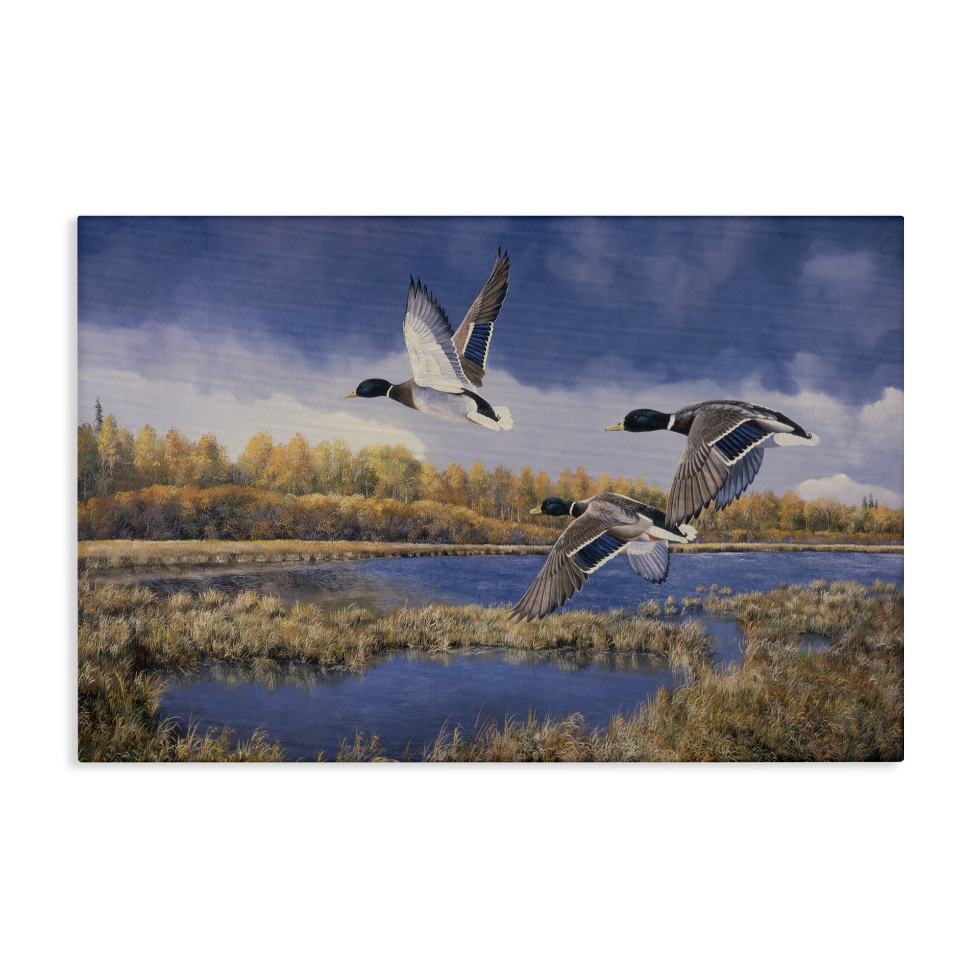 Stupell Industries Ducks Heading South Landscape & Nature Painting Wrapped Canvas Art Print Wall Art, 45 x 30