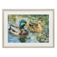 thumbnail image 1 of Stupell Industries Rustic Lodge Ducks Out For A Swim Birch Framed Print Under Glass, 20 x 14, by Petals Prints Design, 1 of 8