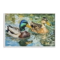 thumbnail image 1 of Stupell Industries Rustic Lodge Ducks Out For A Swim White Framed Giclee Art, 18 x 12, by Petals Prints Design, 1 of 8