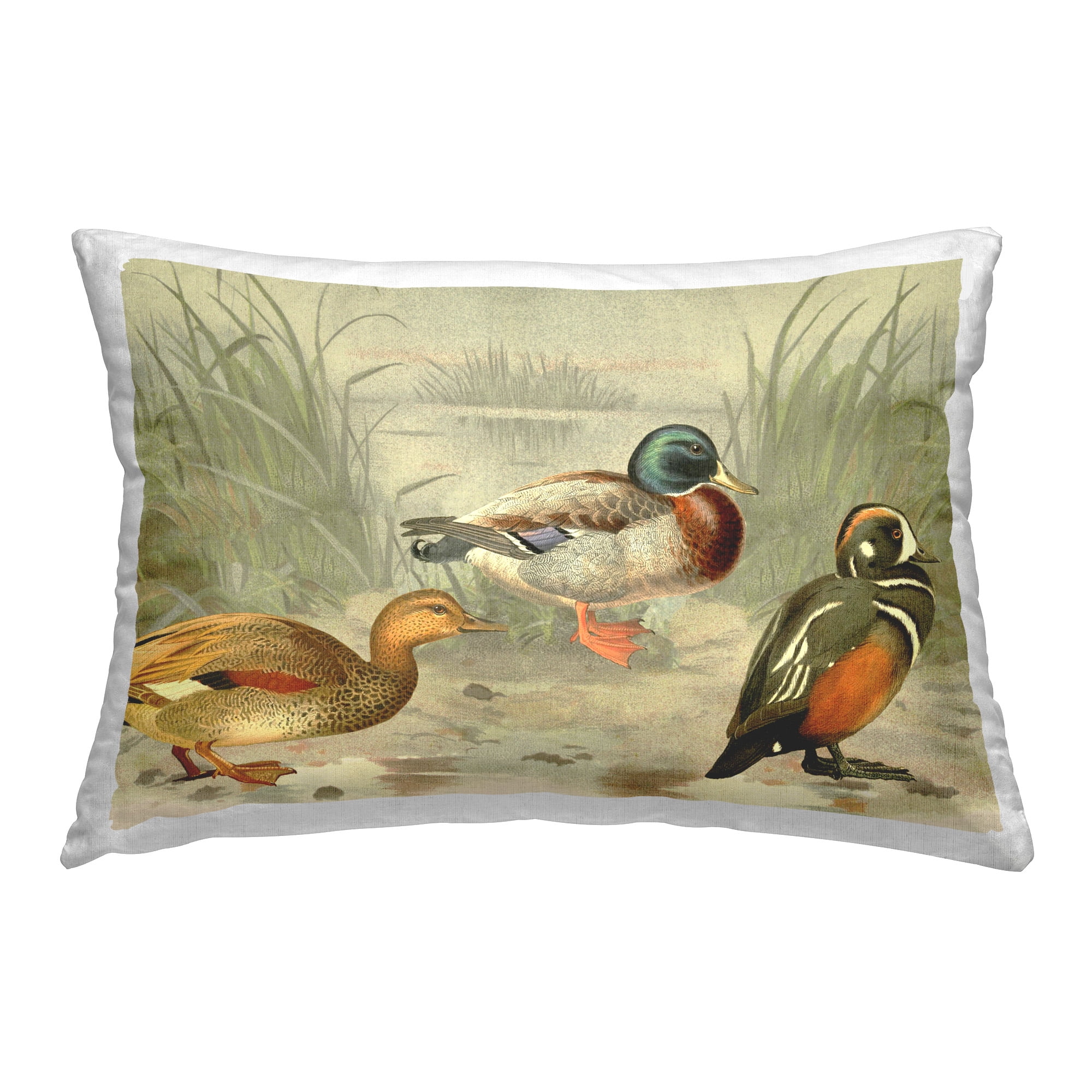 Stupell Industries Ducks & Pond Nature Decorative Printed Throw Pillow Design by Gail Fraser