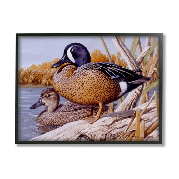 Stupell Industries Ducks at Pond's Edge Animals & Insects Painting Black Framed Art Print Wall Art, 14 x 11
