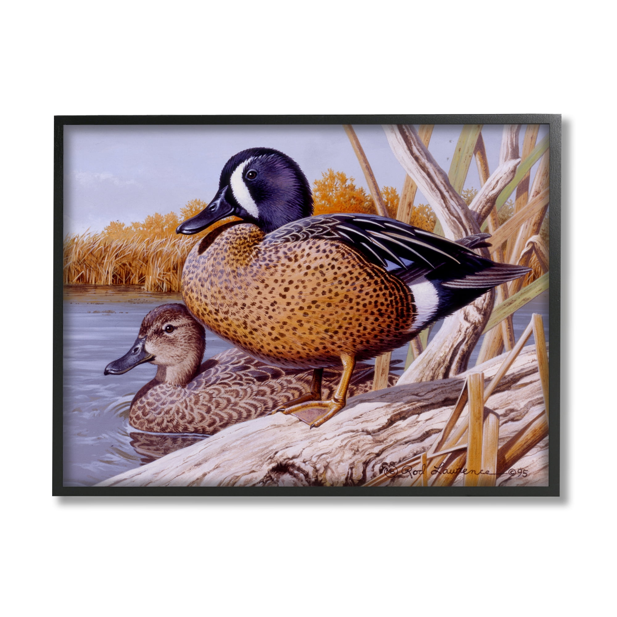 Stupell Industries Ducks at Pond's Edge Animals & Insects Painting Black Framed Art Print Wall Art, 20 x 16