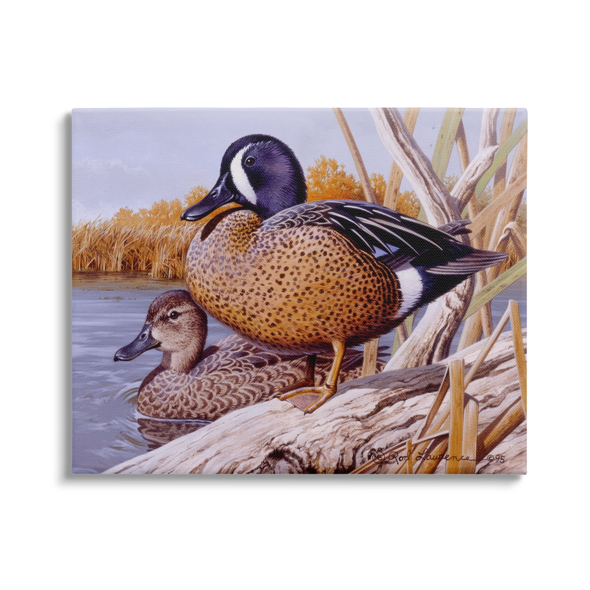 Stupell Industries Ducks at Pond's Edge Animals & Insects Painting Gallery Wrapped Canvas Art Print Wall Art, 30 x 24