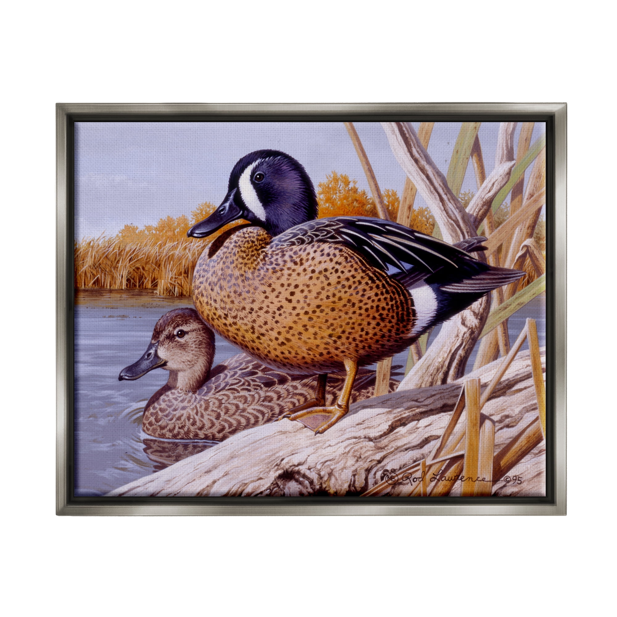 Stupell Industries Ducks at Pond's Edge Animals & Insects Painting Gray Floater Framed Canvas Art Print Wall Art, 21 x 17