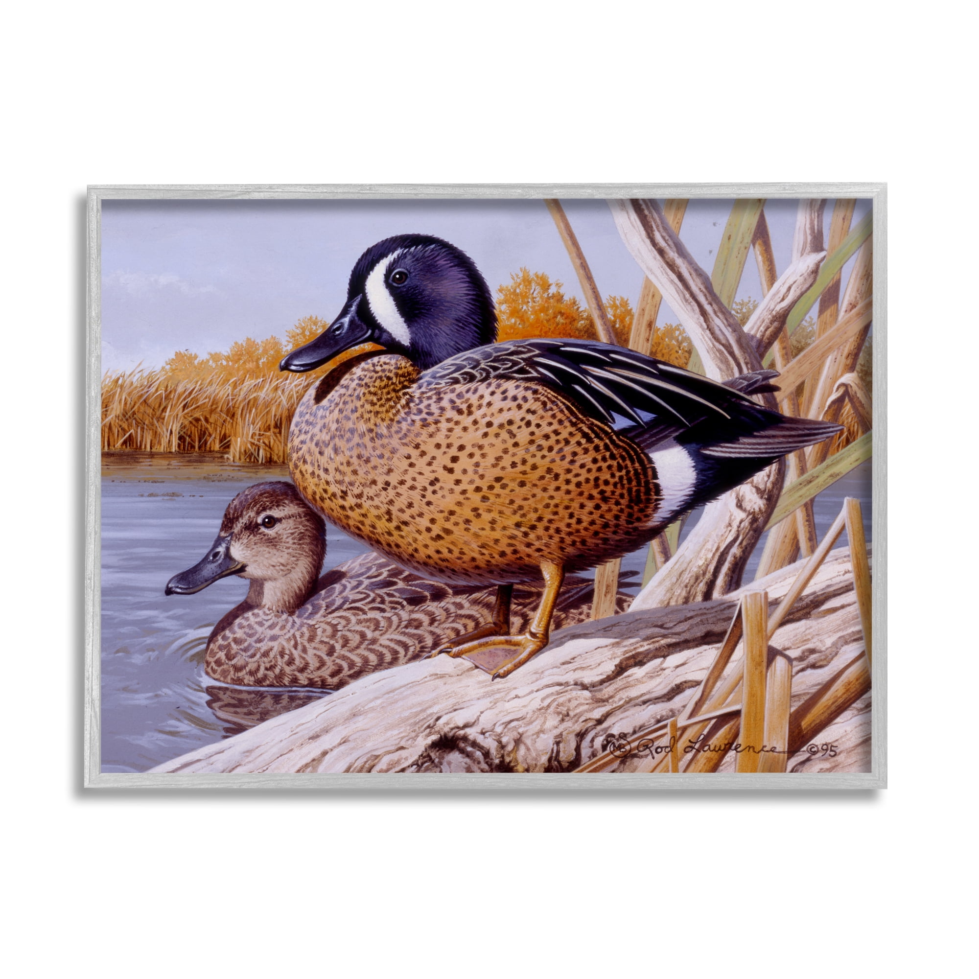 Stupell Industries Ducks at Pond's Edge Animals & Insects Painting Gray Framed Art Print Wall Art, 20 x 16