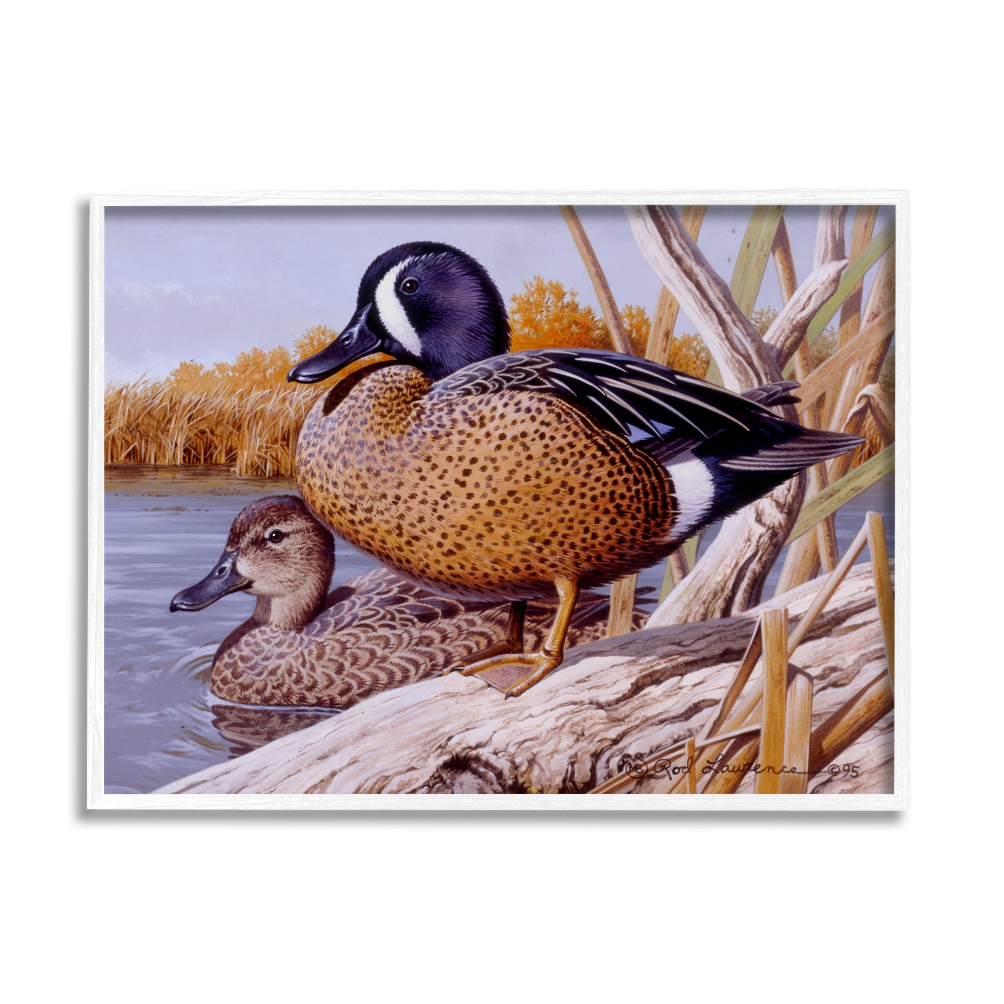 Stupell Industries Ducks at Pond's Edge Animals & Insects Painting White Framed Art Print Wall Art, 20 x 16