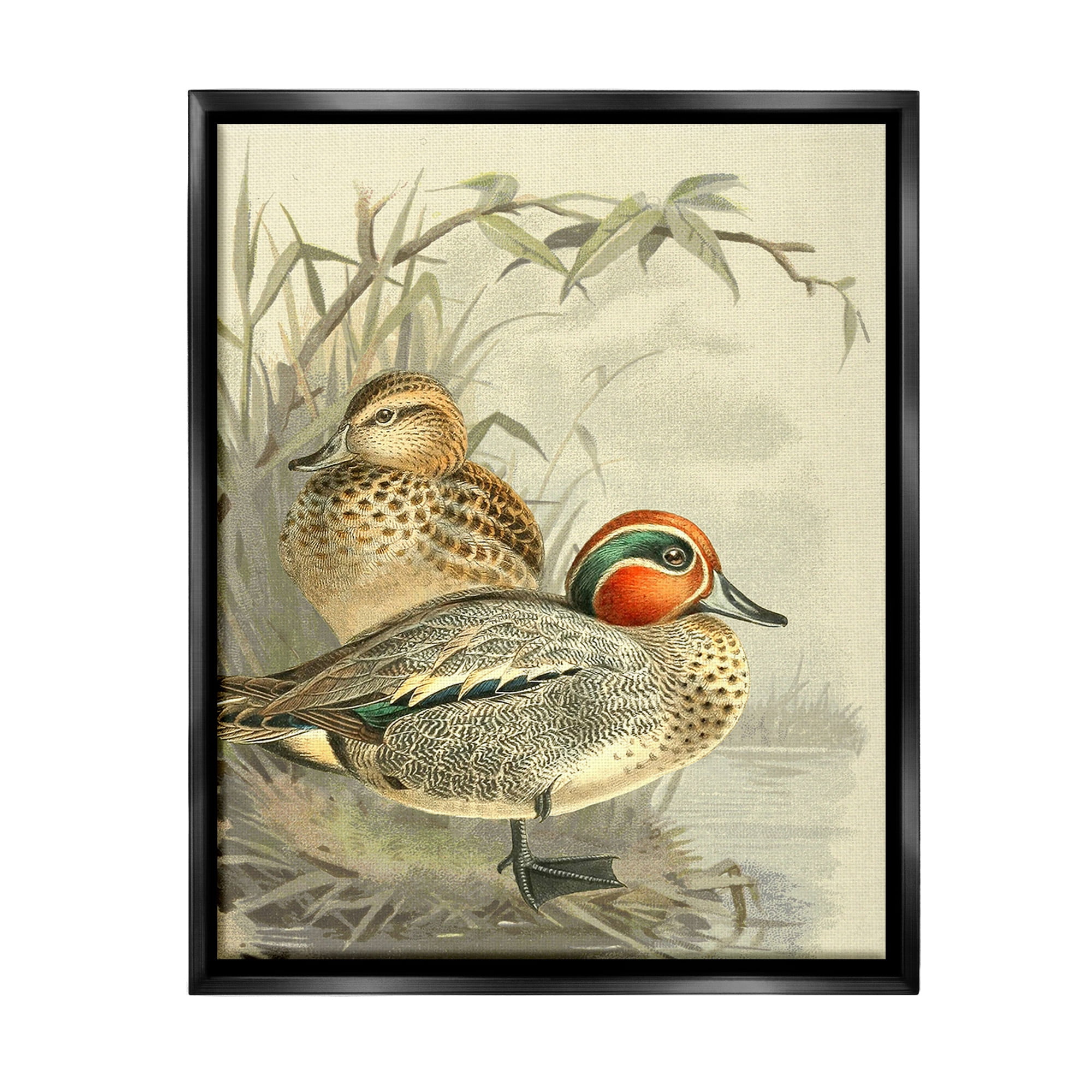Stupell Industries Ducks with Pond Botanicals Animals & Insects Painting Black Floater Framed Canvas Art Print Wall Art, 25 x 31