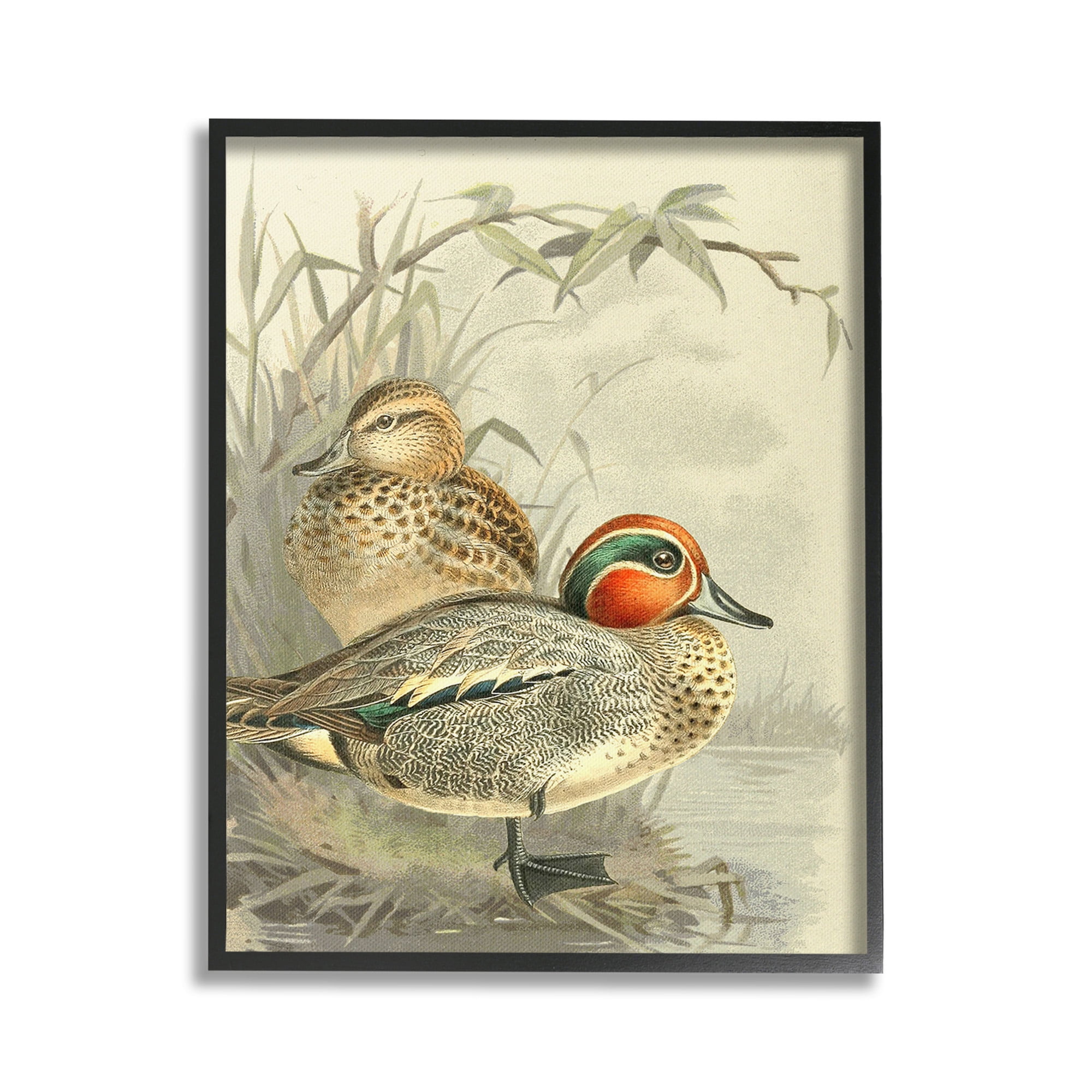 Stupell Industries Ducks with Pond Botanicals Animals & Insects Painting Black Framed Art Print Wall Art, 16 x 20