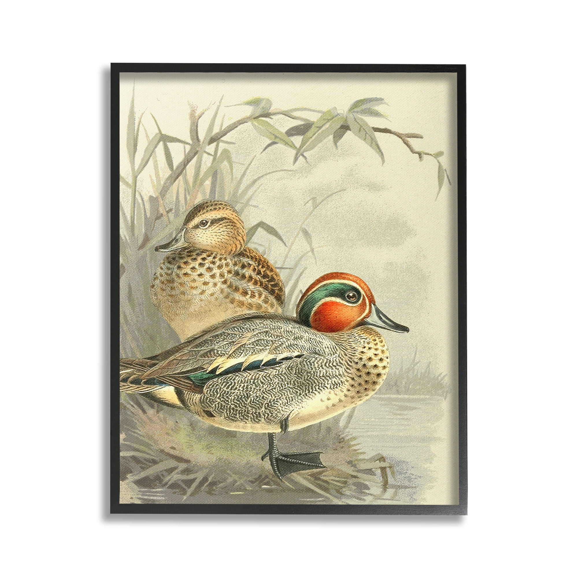 Stupell Industries Ducks with Pond Botanicals Animals & Insects Painting Black Framed Art Print Wall Art, 24 x 30