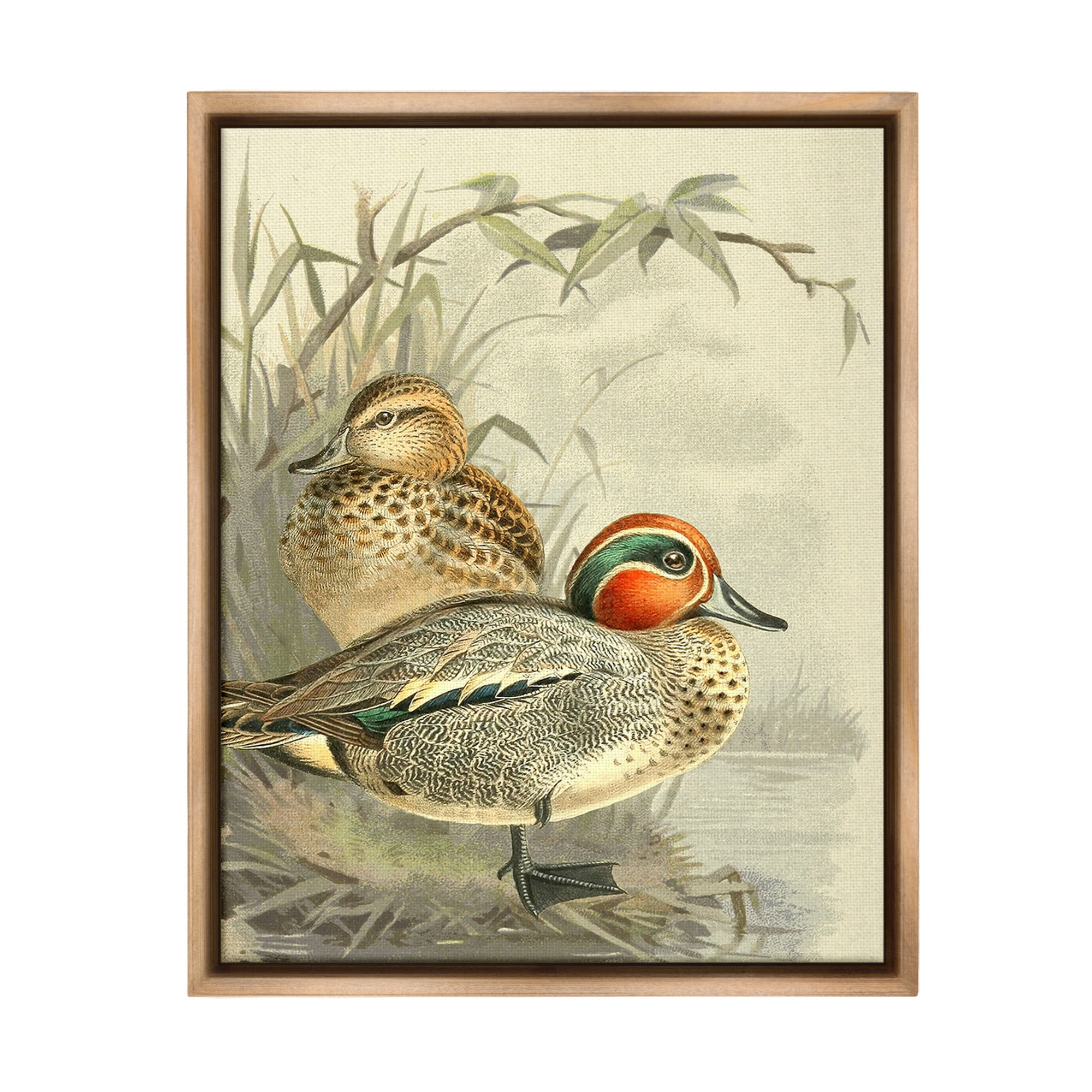 Stupell Industries Ducks with Pond Botanicals Animals & Insects Painting Brown Floater Framed Canvas Art Print Wall Art, 25 x 31
