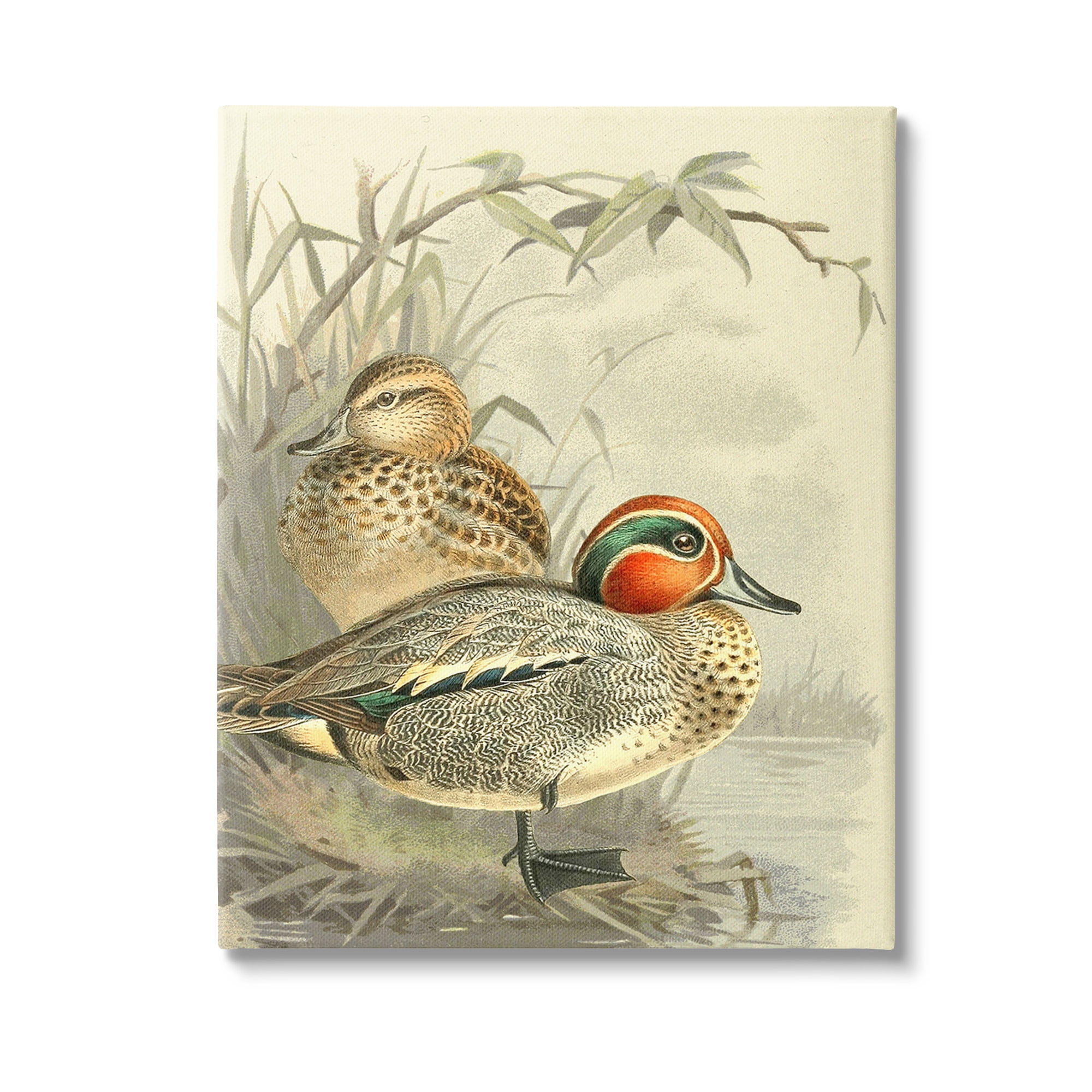 Stupell Industries Ducks with Pond Botanicals Animals & Insects Painting Gallery Wrapped Canvas Art Print Wall Art, 24 x 30