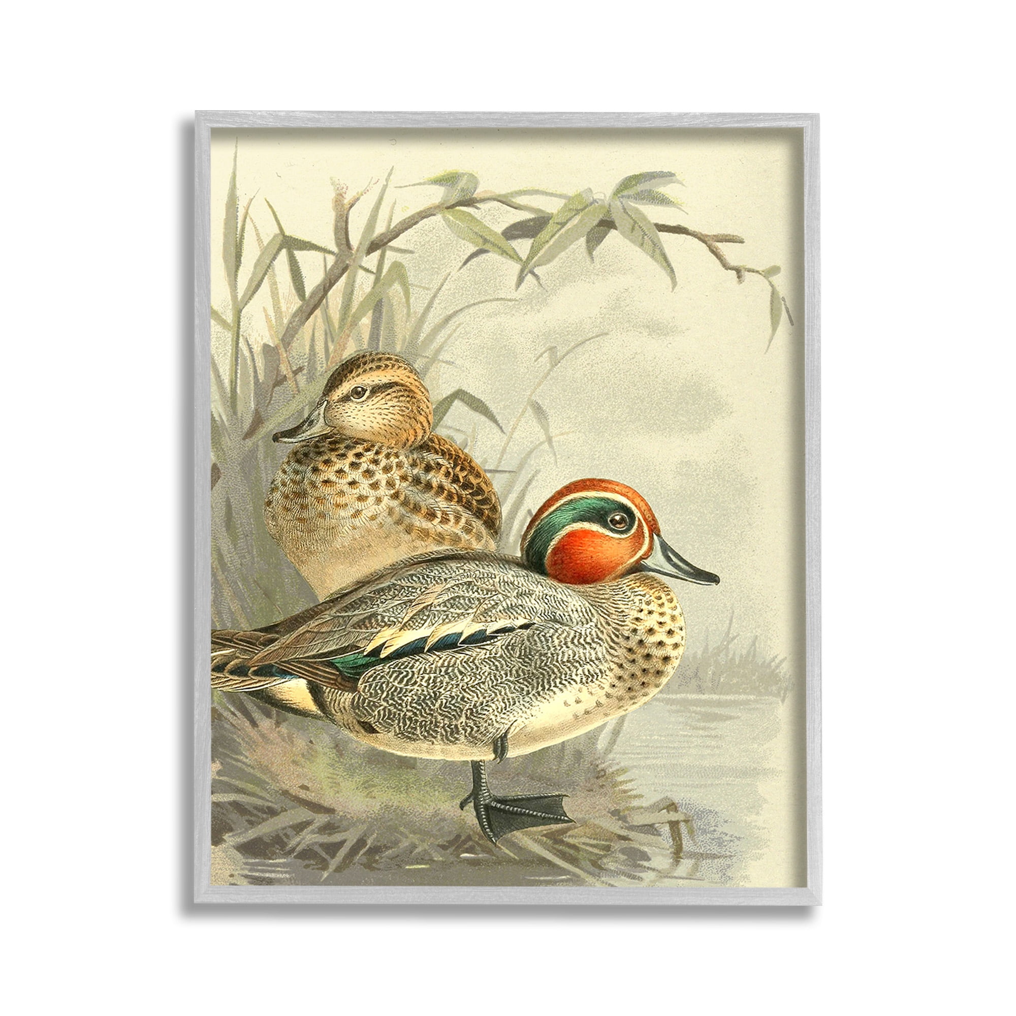Stupell Industries Ducks with Pond Botanicals Animals & Insects Painting Gray Framed Art Print Wall Art, 11 x 14