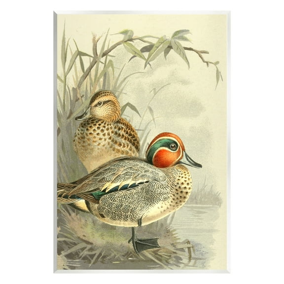 Stupell Industries Ducks with Pond Botanicals Animals & Insects Painting Unframed Art Print Wall Art, 10 x 15