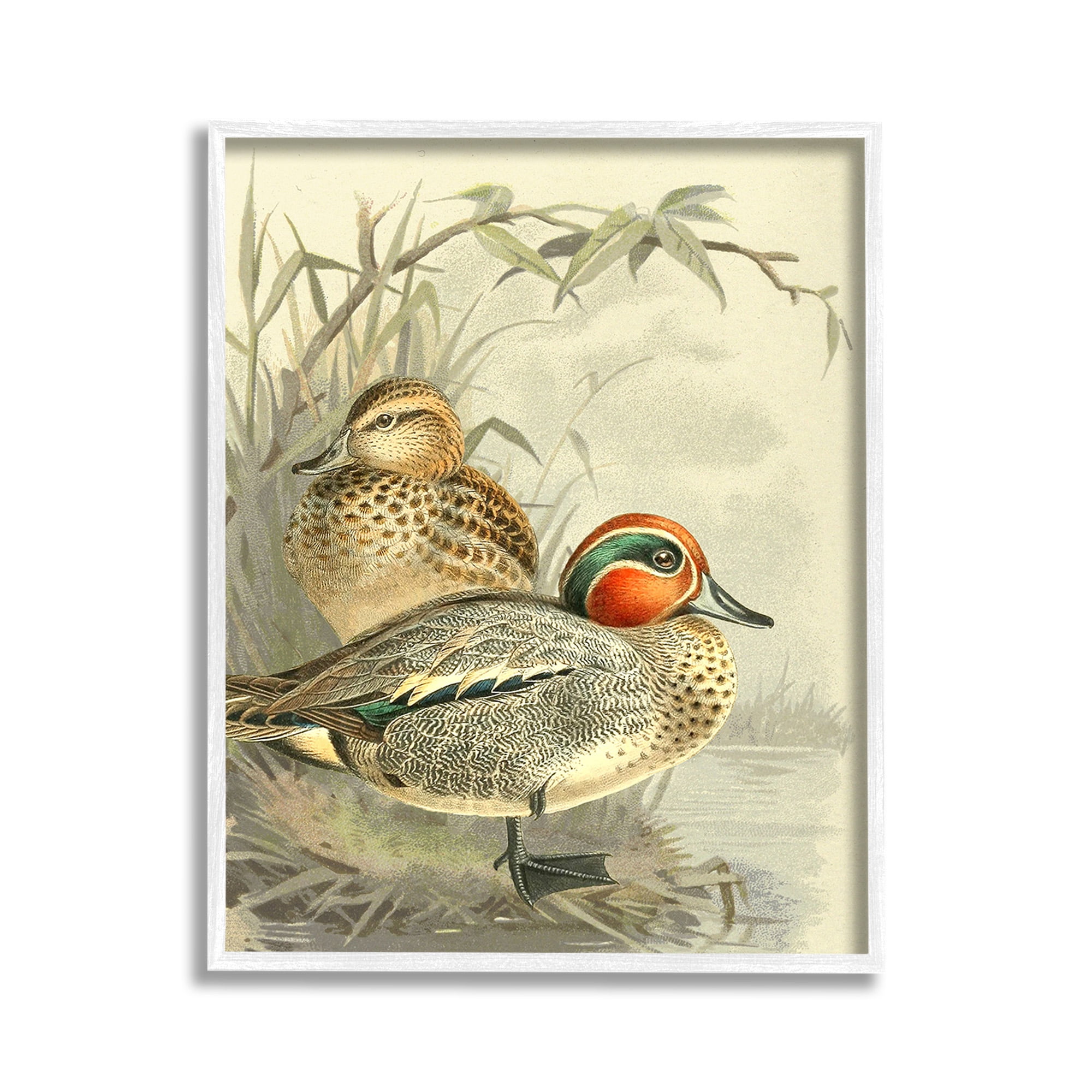 Stupell Industries Ducks with Pond Botanicals Animals & Insects Painting White Framed Art Print Wall Art, 11 x 14