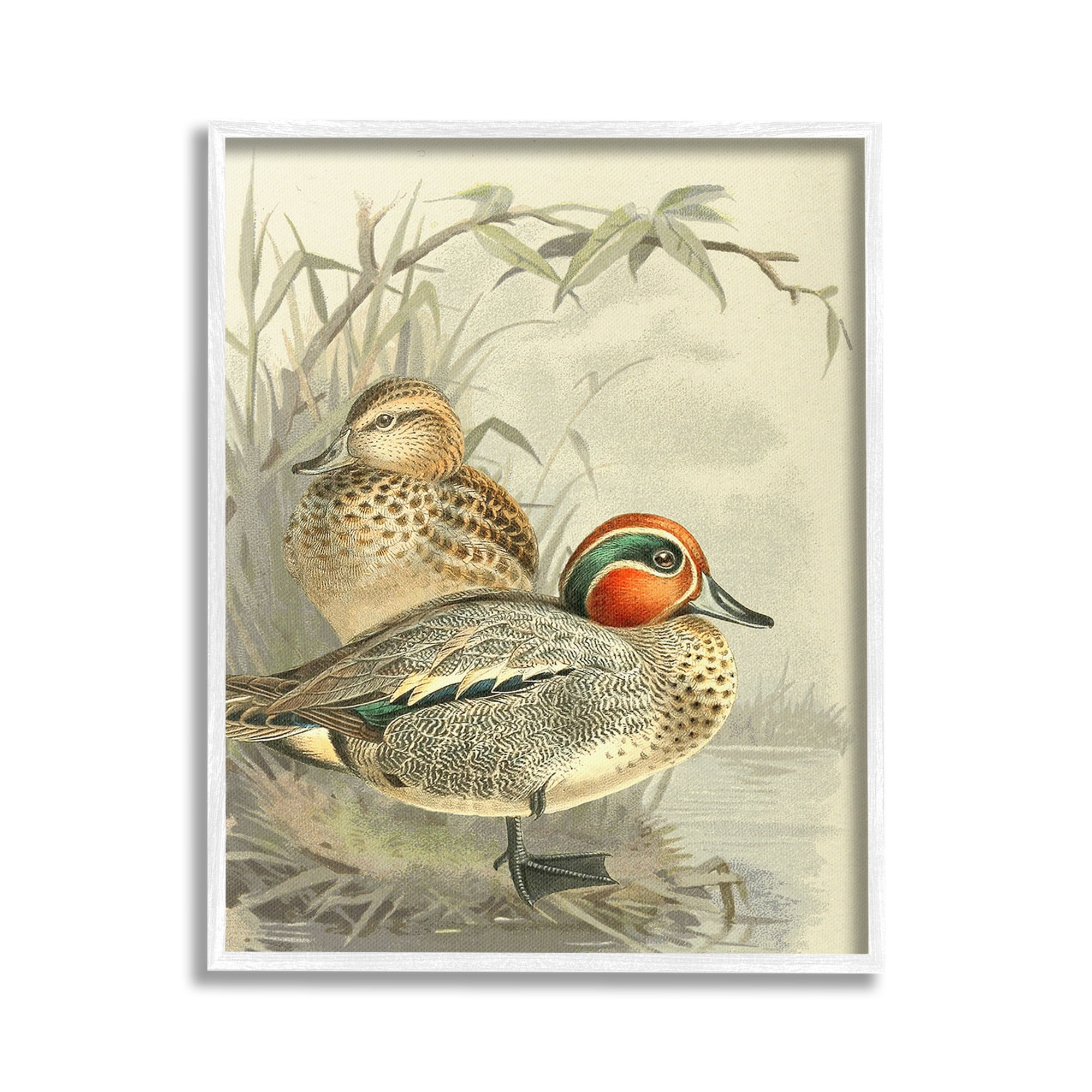 Stupell Industries Ducks with Pond Botanicals Animals & Insects Painting White Framed Art Print Wall Art, 16 x 20