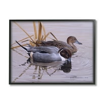 Stupell Industries Ducks with Pond Ripples Animals & Insects Painting Black Framed Art Print Wall Art, 14 x 11